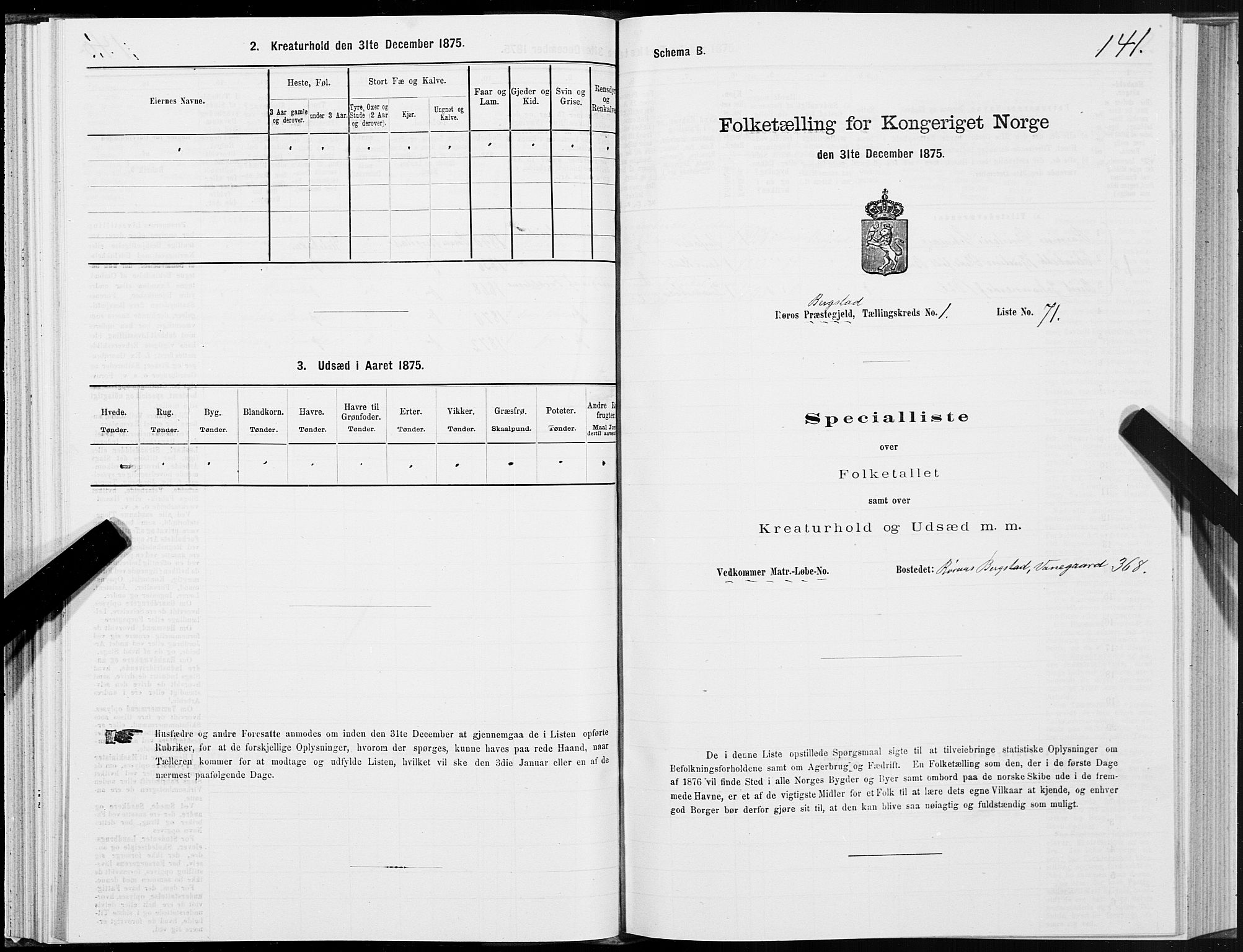 SAT, 1875 census for 1640P Røros, 1875, p. 1141