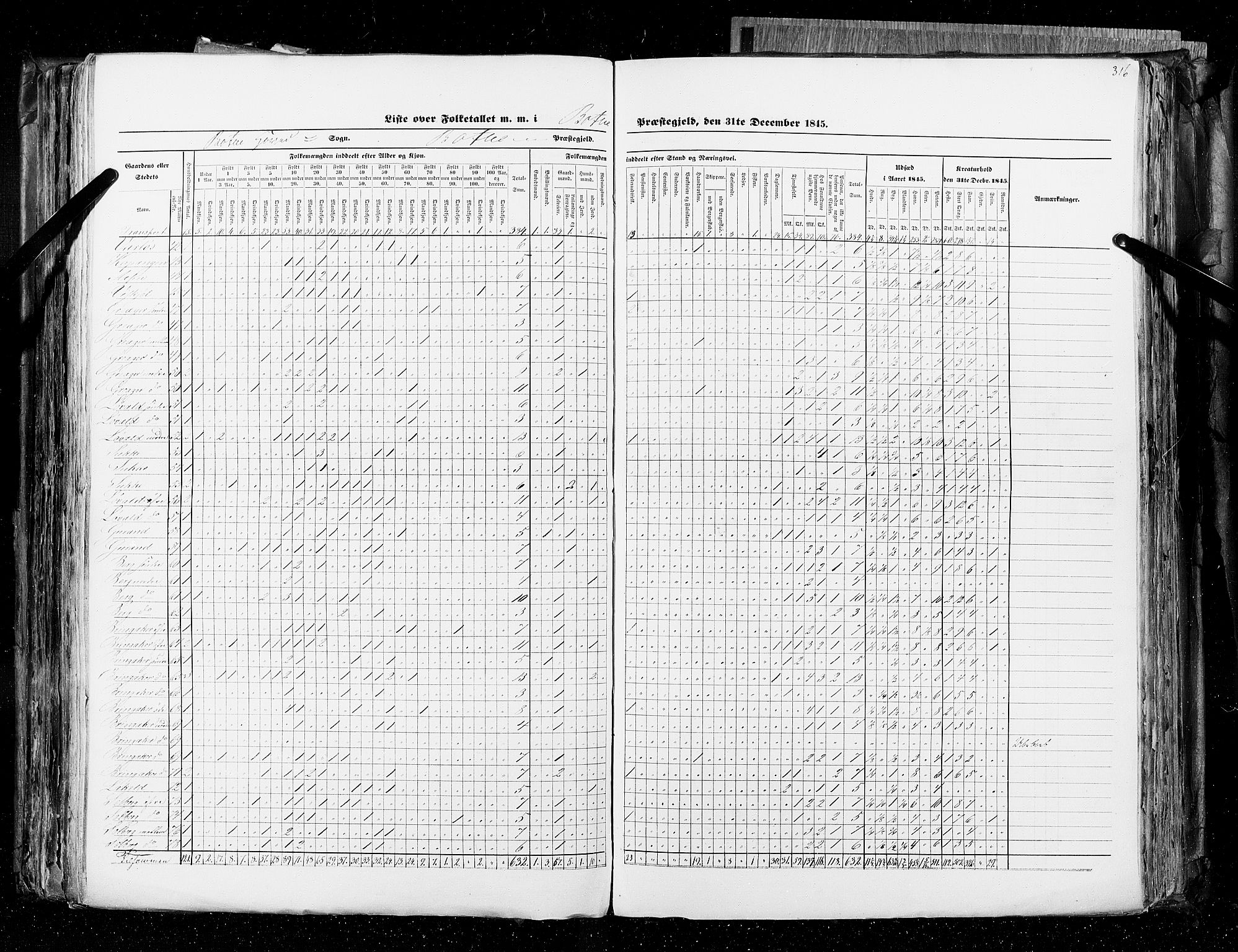 RA, Census 1845, vol. 4: Buskerud amt og Jarlsberg og Larvik amt, 1845, p. 316