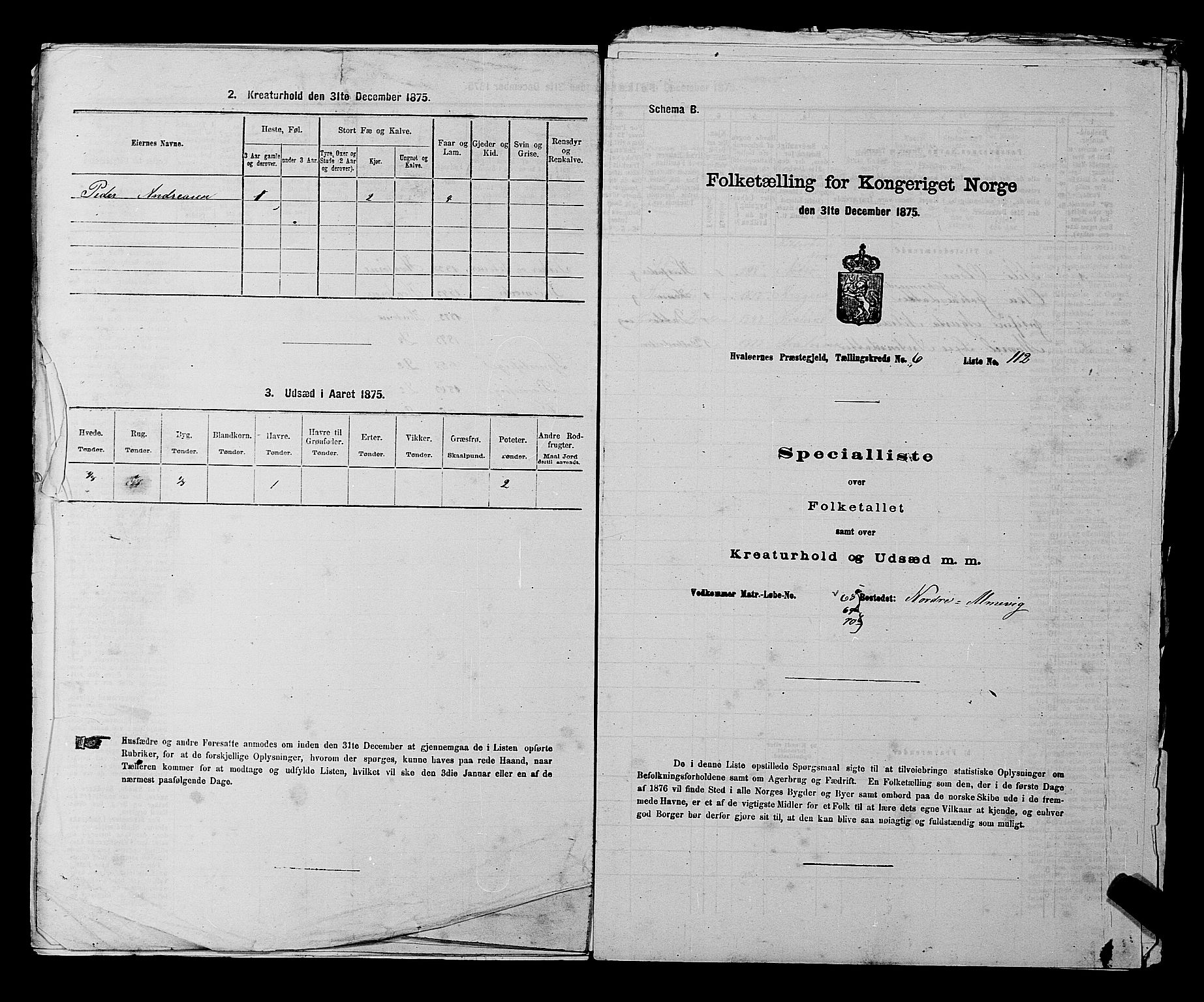 RA, 1875 census for 0111P Hvaler, 1875, p. 969