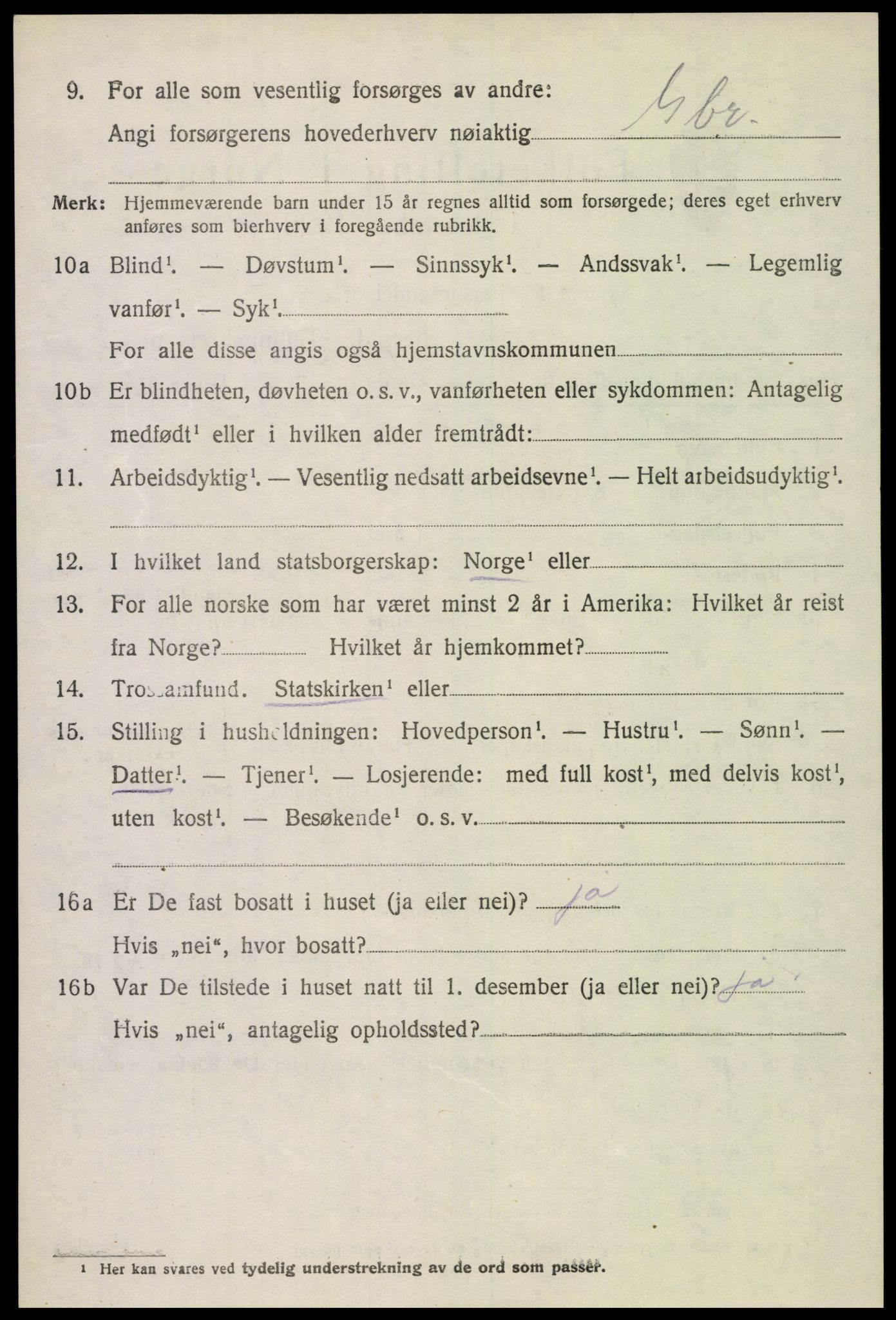 SAH, 1920 census for Dovre, 1920, p. 4561