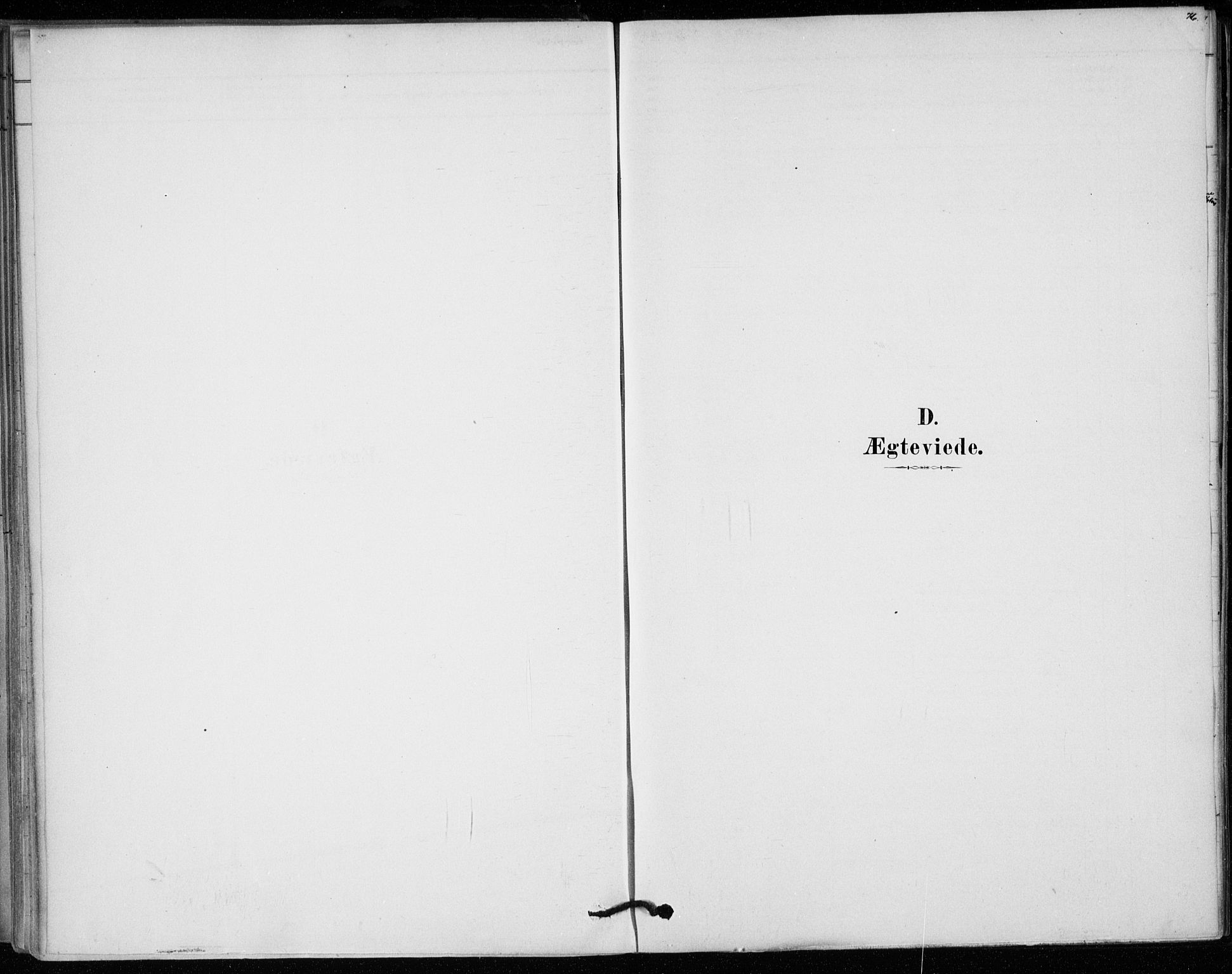 Sem kirkebøker, SAKO/A-5/F/Fa/L0010: Parish register (official) no. I 10, 1878-1887, p. 76