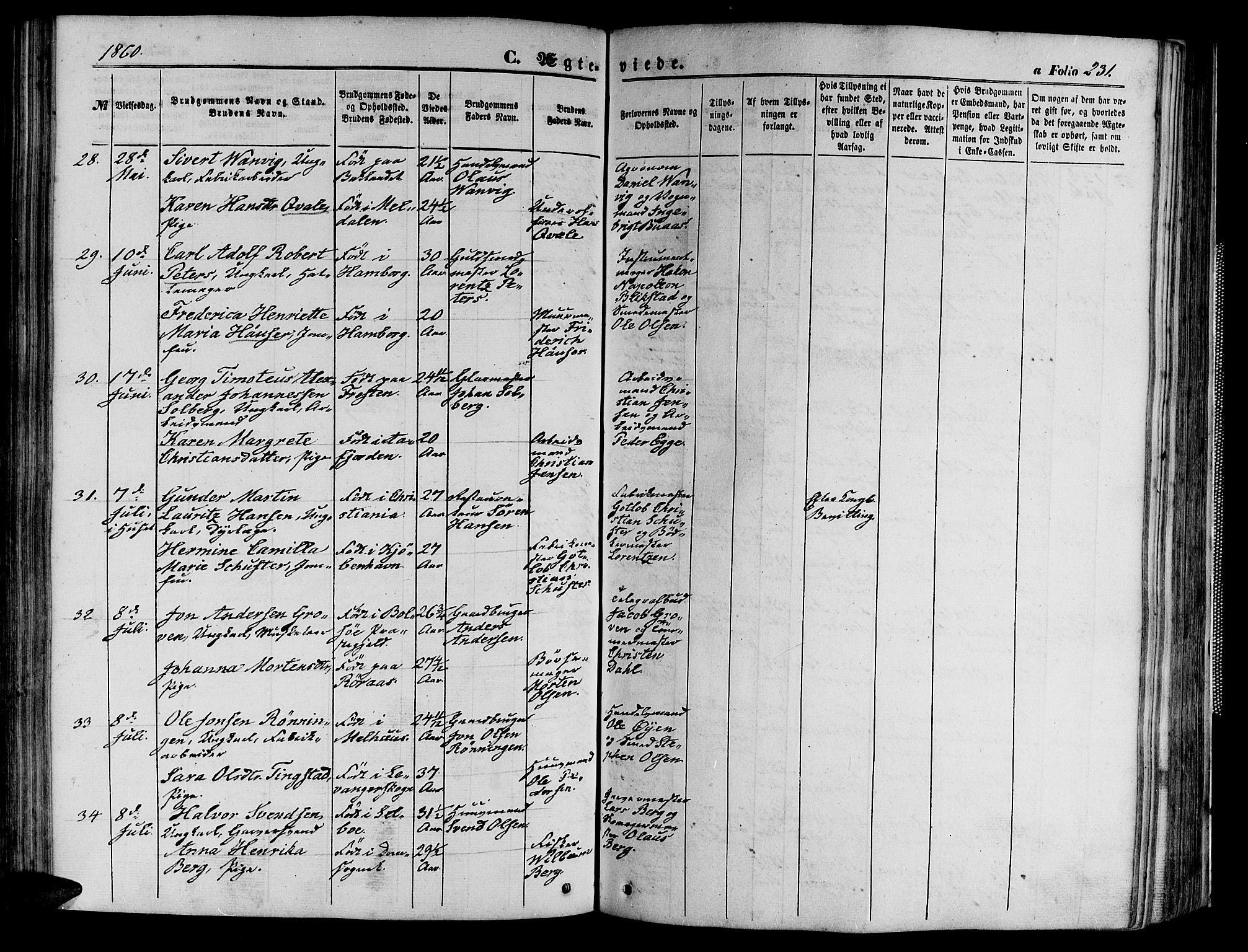 Ministerialprotokoller, klokkerbøker og fødselsregistre - Sør-Trøndelag, AV/SAT-A-1456/602/L0139: Parish register (copy) no. 602C07, 1859-1864, p. 231