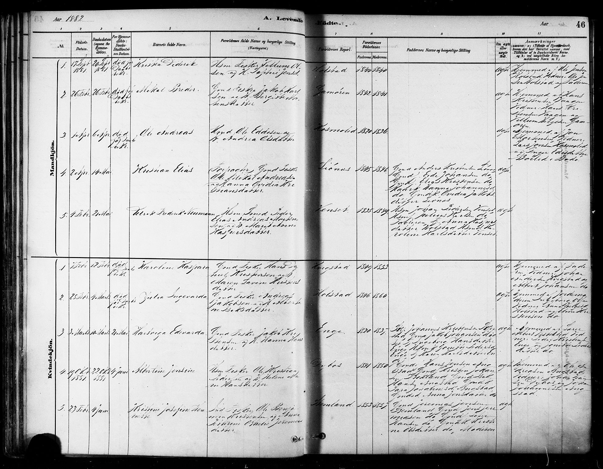 Ministerialprotokoller, klokkerbøker og fødselsregistre - Nordland, AV/SAT-A-1459/852/L0740: Parish register (official) no. 852A10, 1878-1894, p. 46