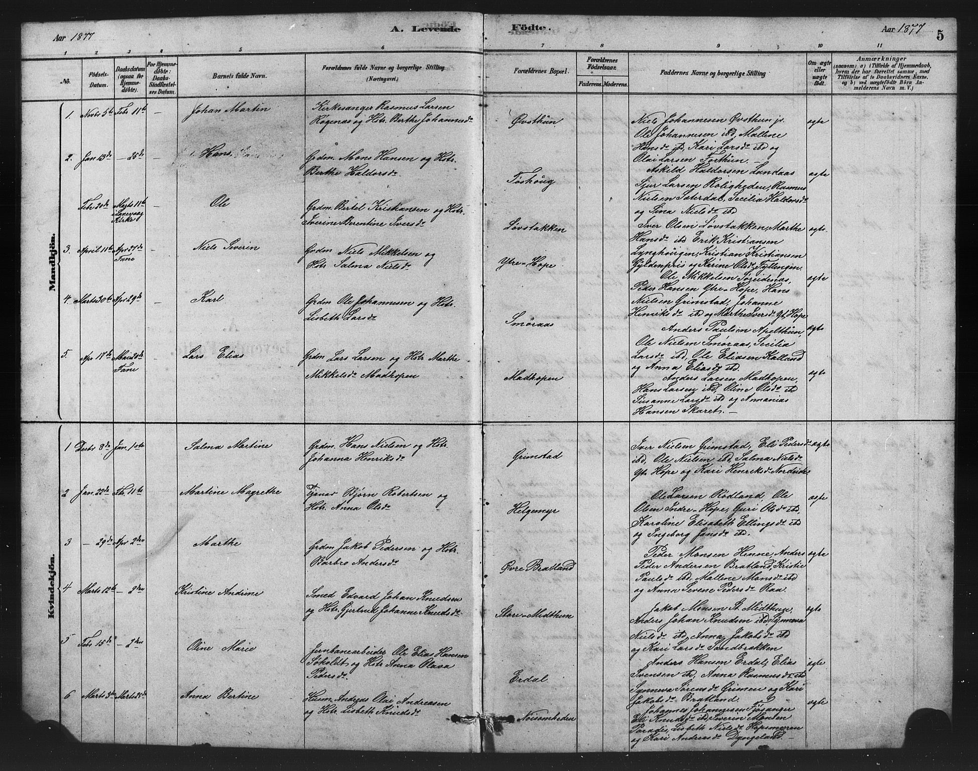 Birkeland Sokneprestembete, SAB/A-74601/H/Hab: Parish register (copy) no. A 3, 1877-1887, p. 5