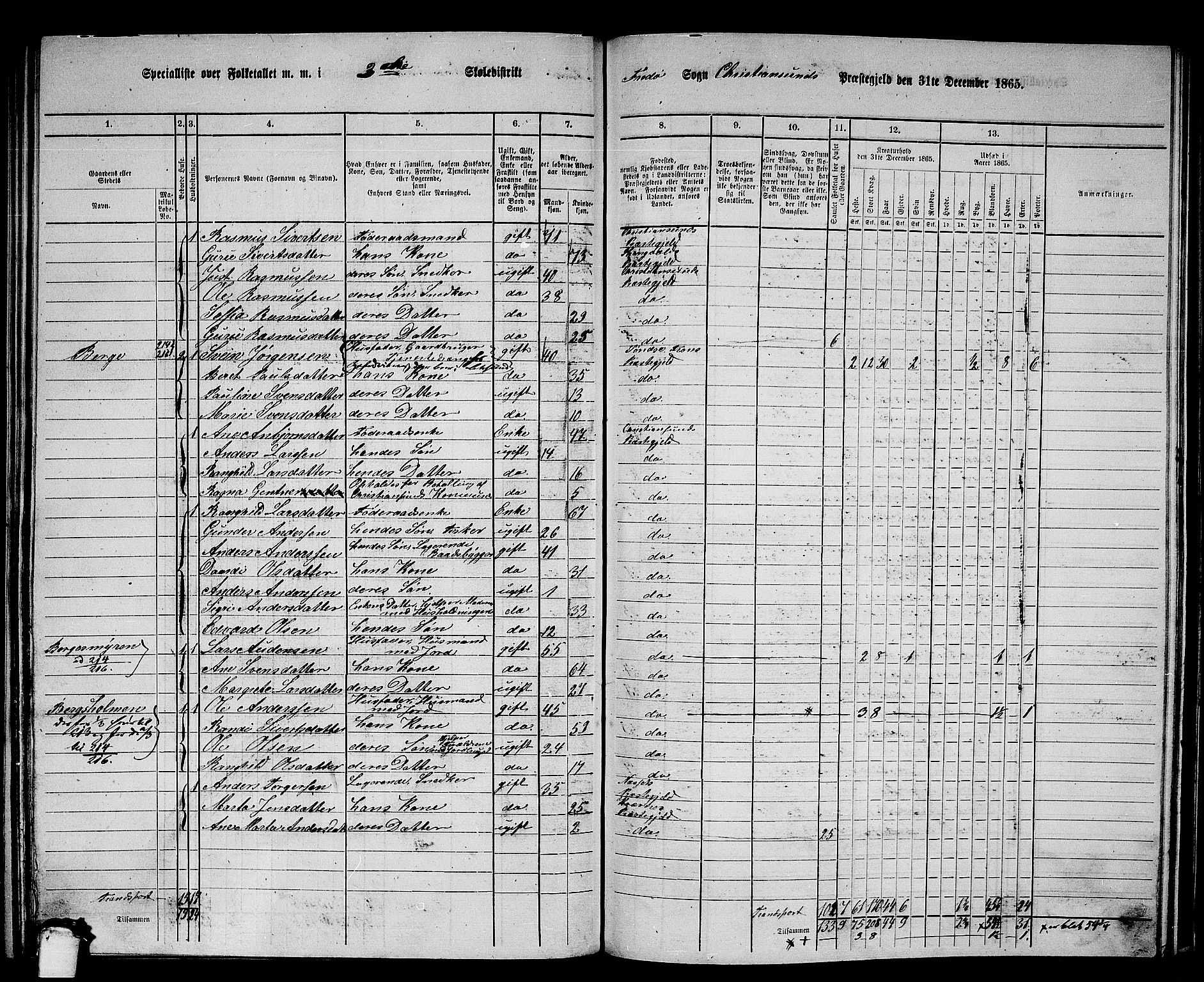 RA, 1865 census for Kristiansund/Frei og Grip, 1865, p. 41