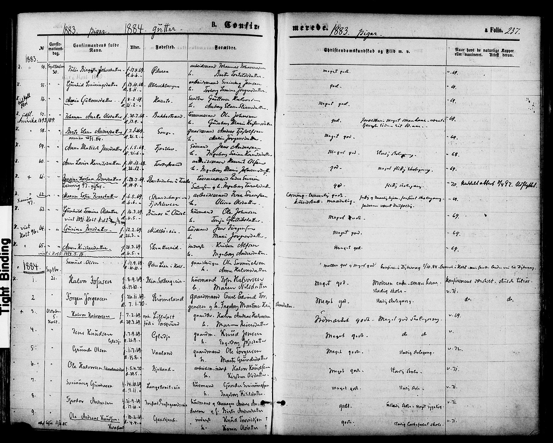 Holt sokneprestkontor, AV/SAK-1111-0021/F/Fa/L0010: Parish register (official) no. A 10, 1872-1885, p. 237