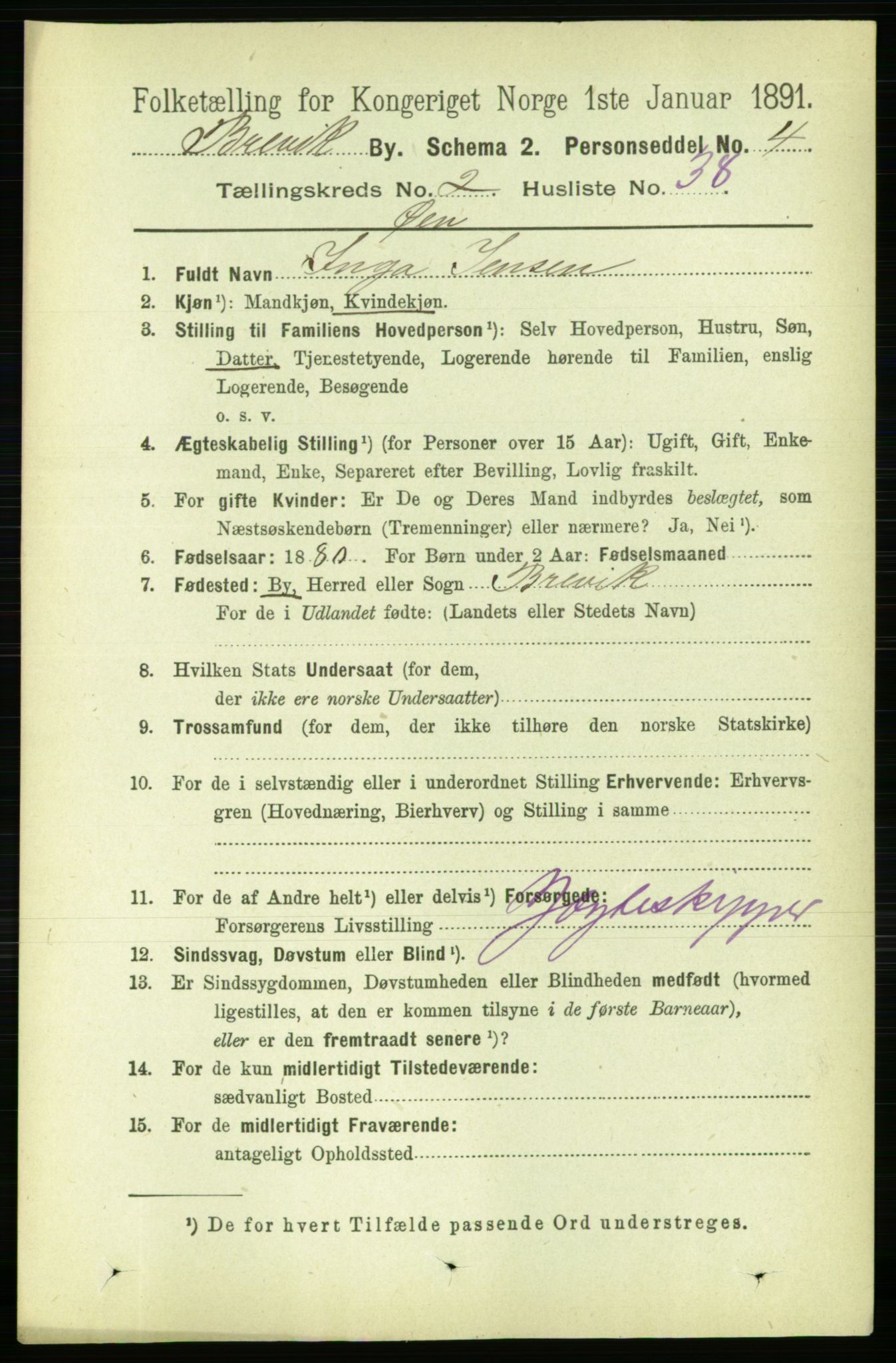 RA, 1891 census for 0804 Brevik, 1891, p. 1848