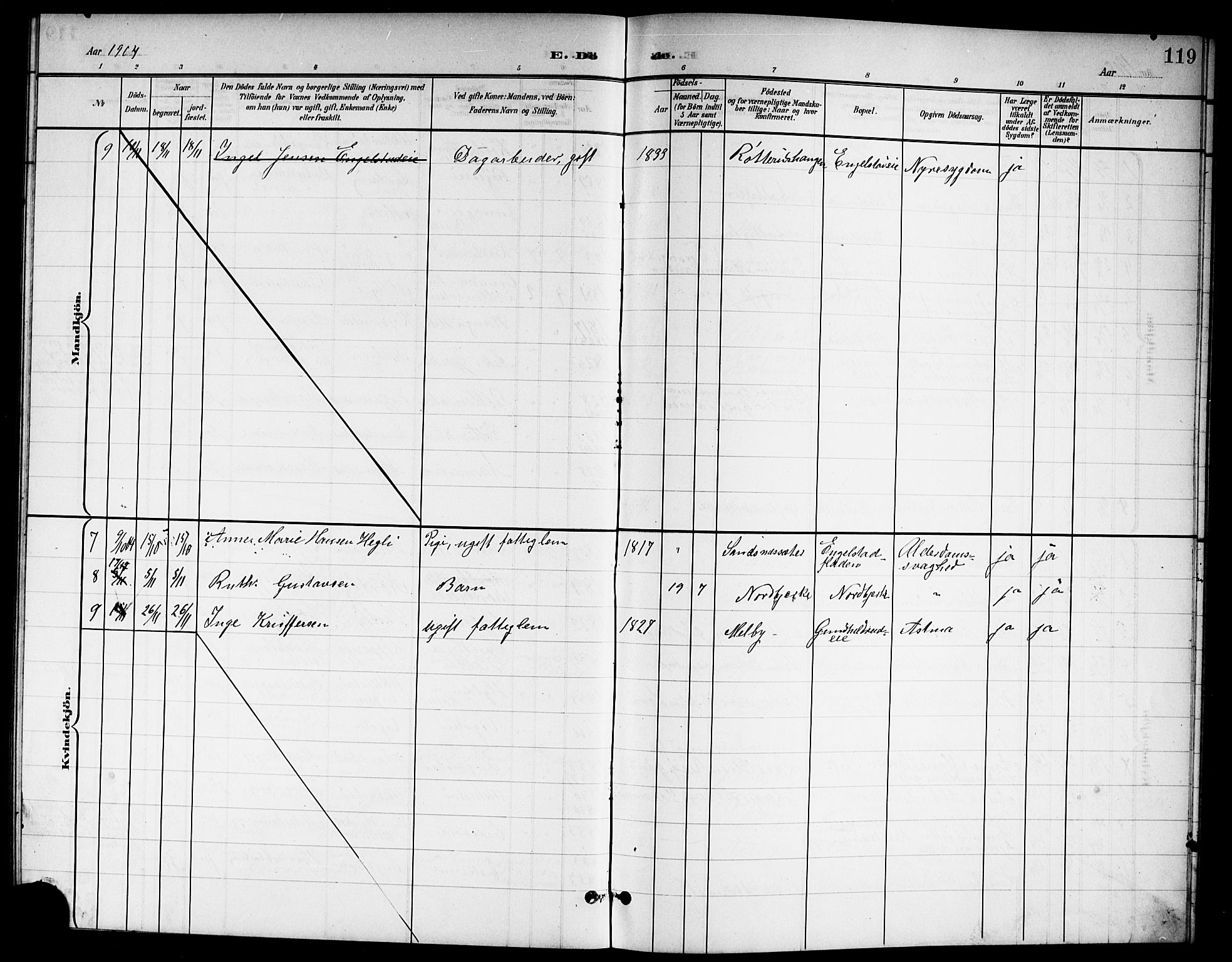 Nannestad prestekontor Kirkebøker, SAO/A-10414a/G/Ga/L0002: Parish register (copy) no. I 2, 1901-1913, p. 119