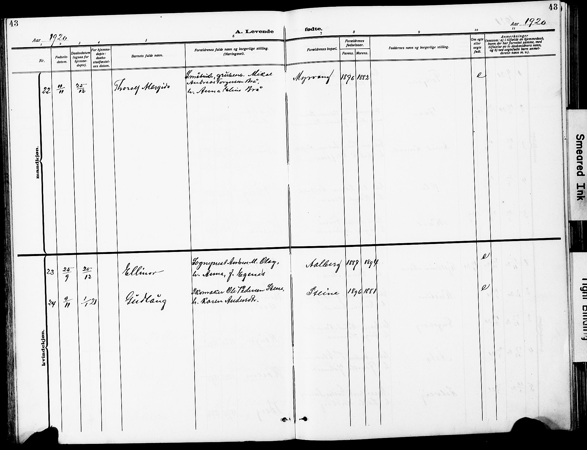 Ministerialprotokoller, klokkerbøker og fødselsregistre - Sør-Trøndelag, AV/SAT-A-1456/612/L0388: Parish register (copy) no. 612C04, 1909-1929, p. 43