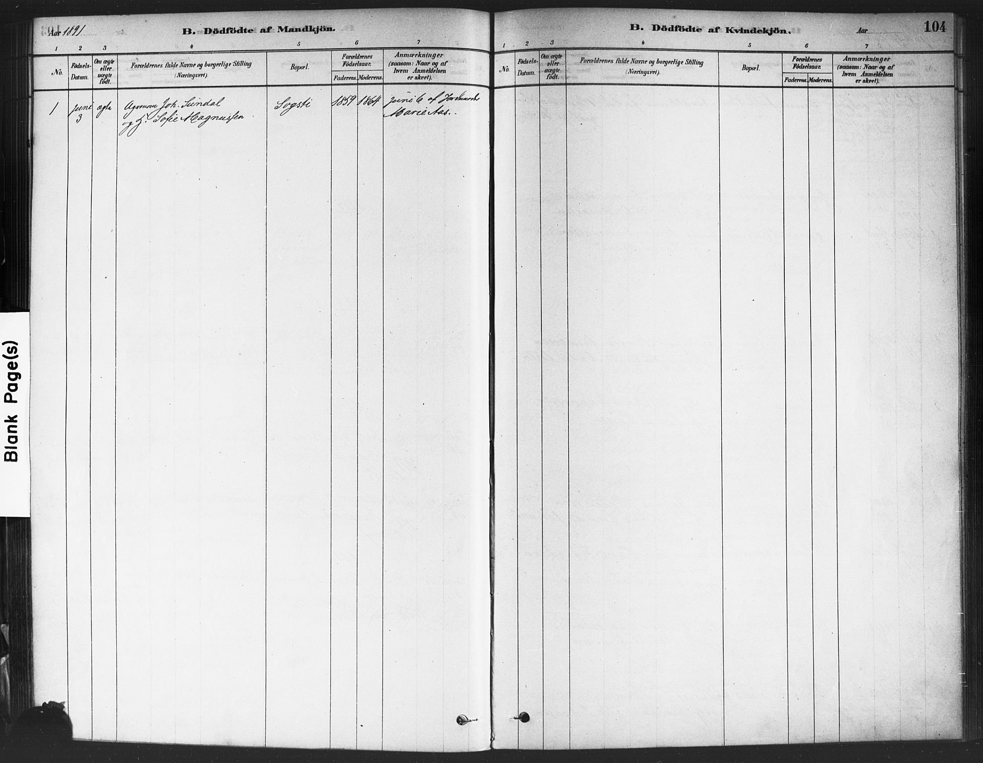 Drøbak prestekontor Kirkebøker, SAO/A-10142a/F/Fc/L0002: Parish register (official) no. III 2, 1878-1891, p. 104