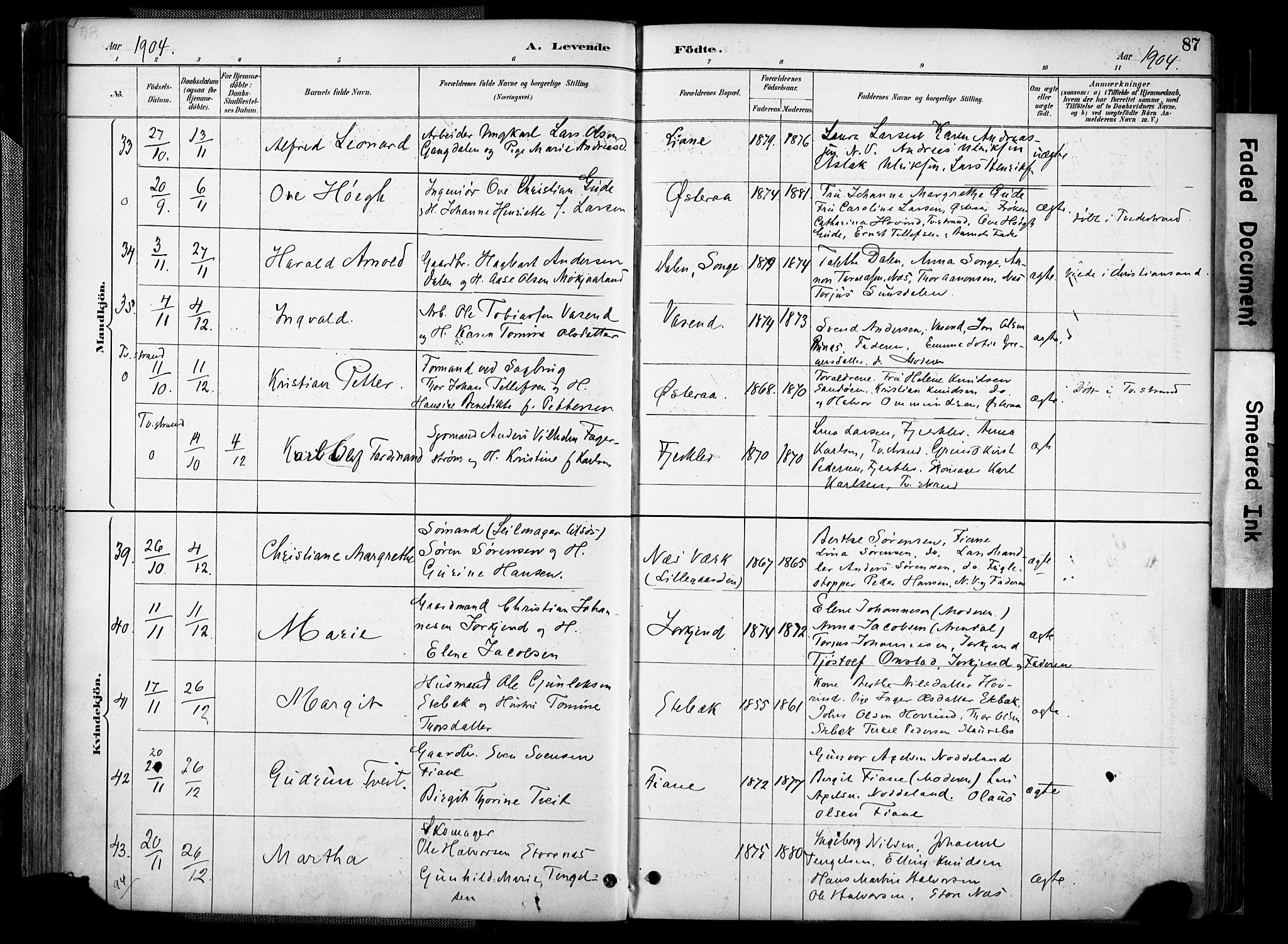 Holt sokneprestkontor, AV/SAK-1111-0021/F/Fa/L0012: Parish register (official) no. A 12, 1885-1907, p. 87