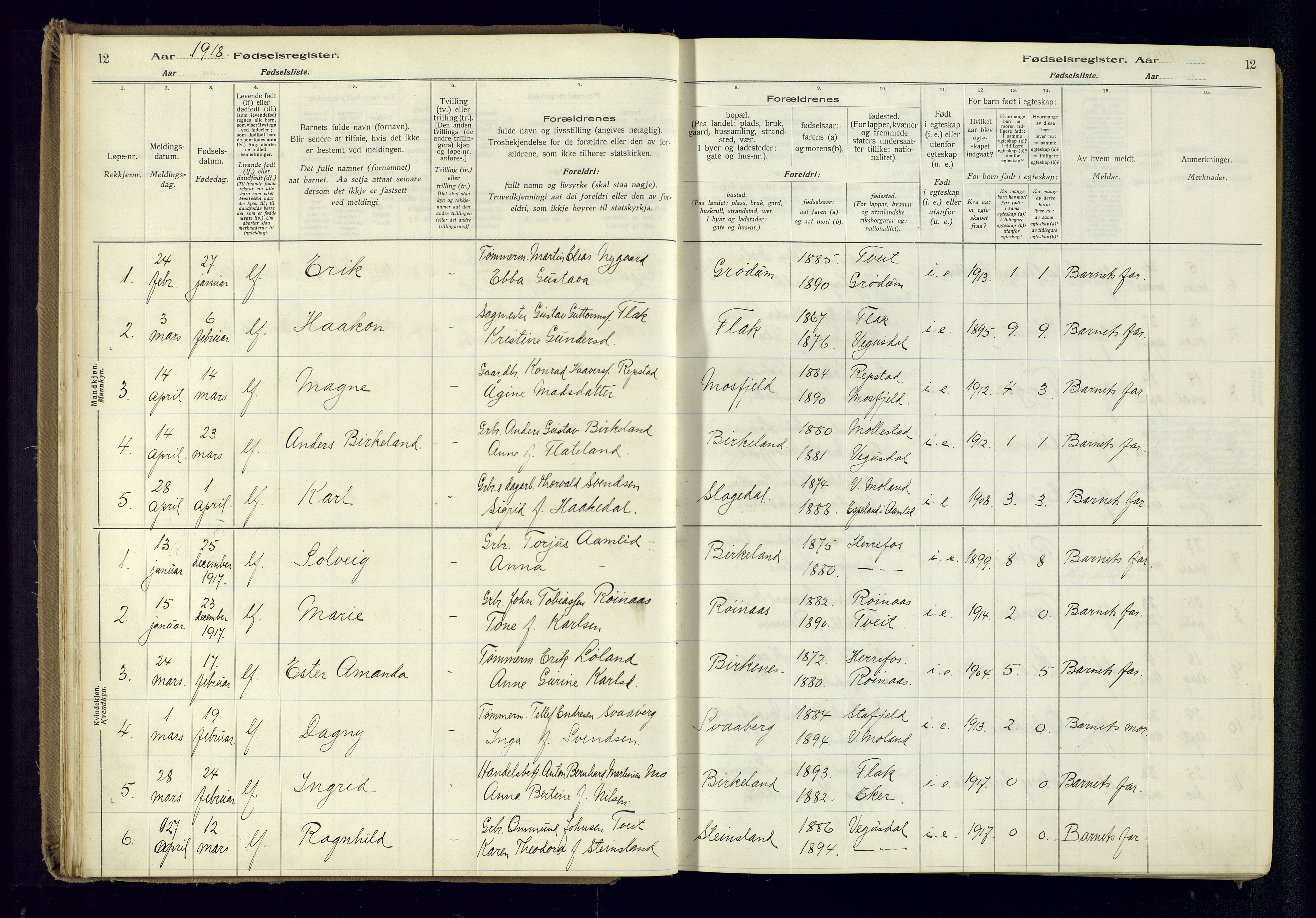 Birkenes sokneprestkontor, SAK/1111-0004/J/Ja/L0001: Birth register no. II.6.4, 1916-1962, p. 12