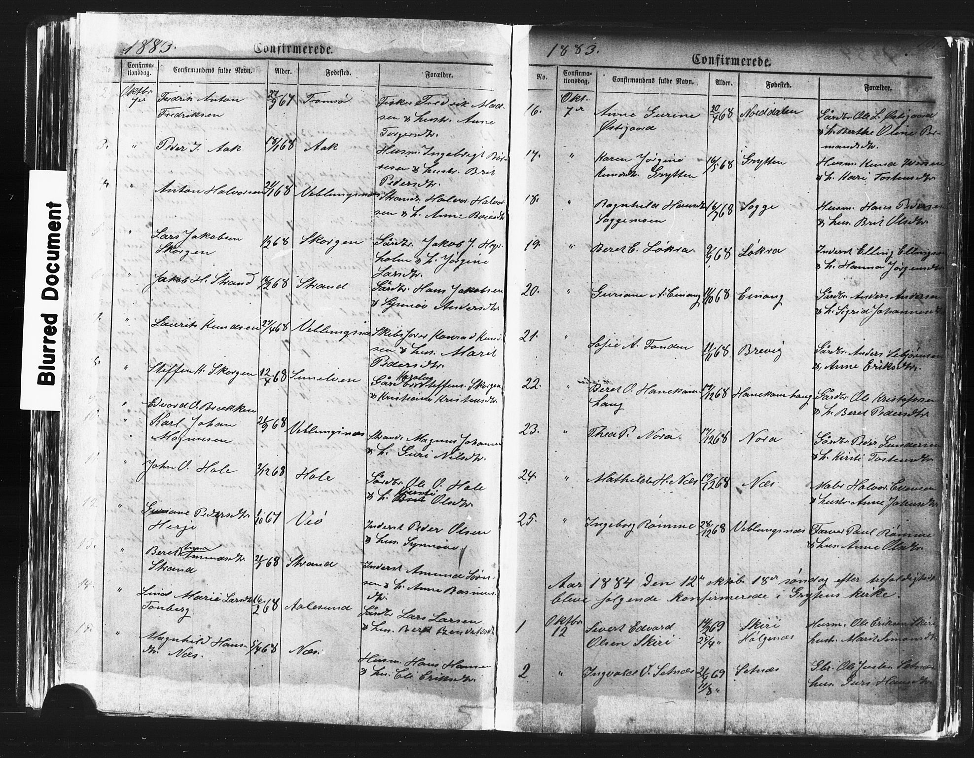 Ministerialprotokoller, klokkerbøker og fødselsregistre - Møre og Romsdal, AV/SAT-A-1454/544/L0580: Parish register (copy) no. 544C02, 1867-1909, p. 161