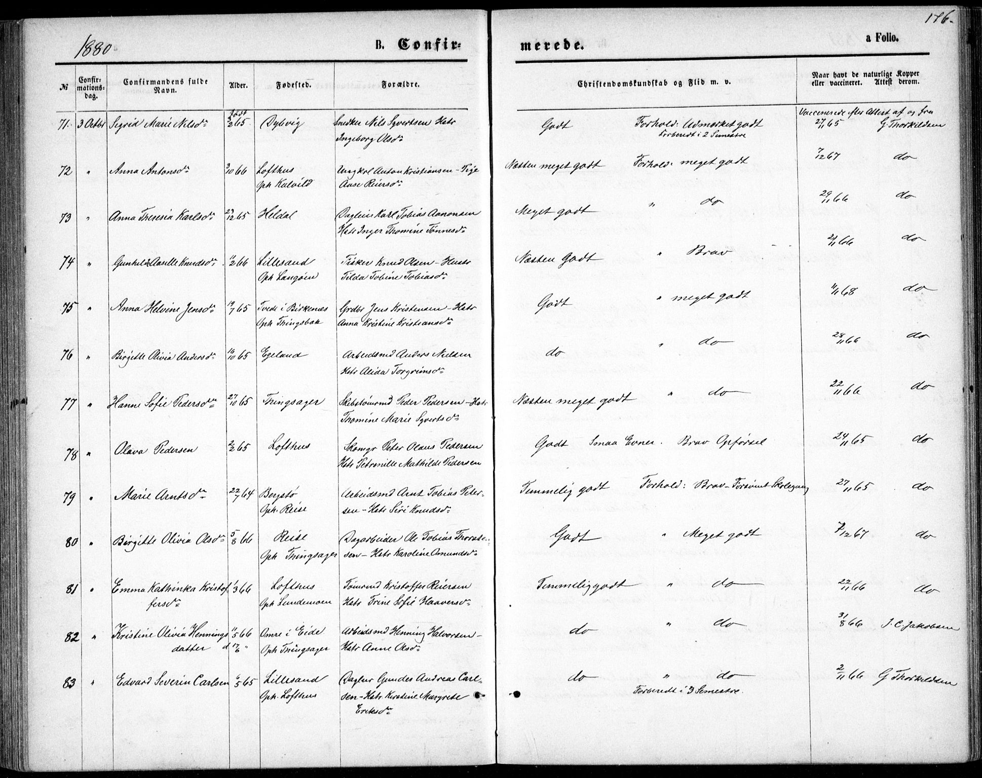 Vestre Moland sokneprestkontor, SAK/1111-0046/F/Fb/Fbb/L0005: Parish register (copy) no. B 5, 1872-1883, p. 176