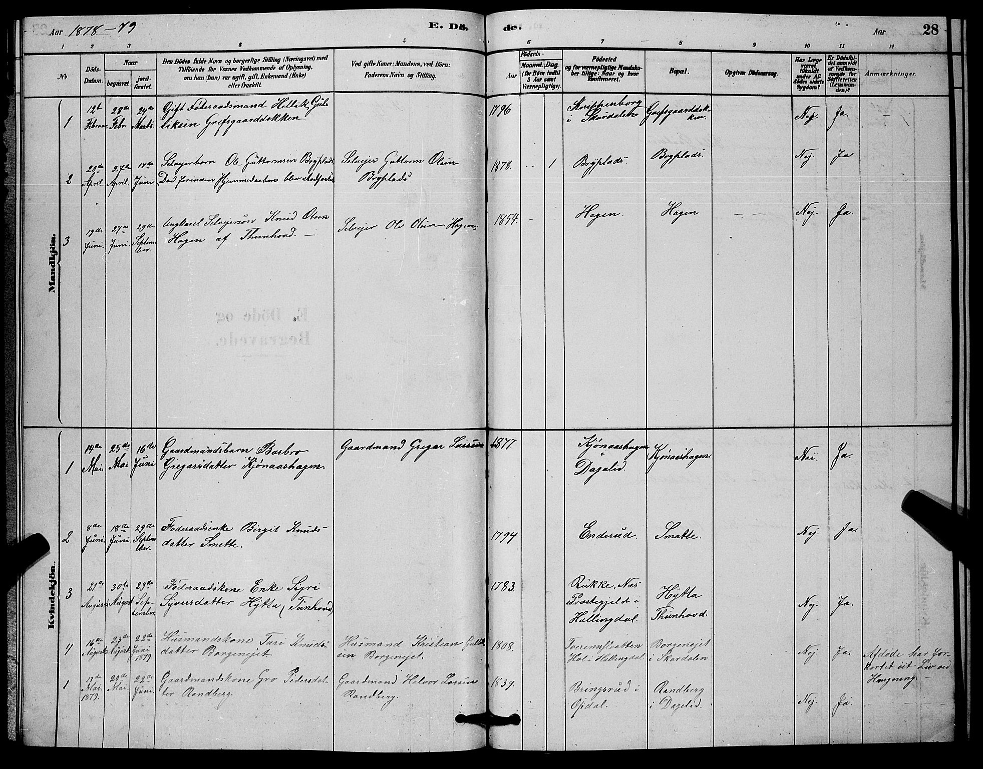 Nore kirkebøker, SAKO/A-238/G/Gc/L0002: Parish register (copy) no. III 2, 1878-1883, p. 28