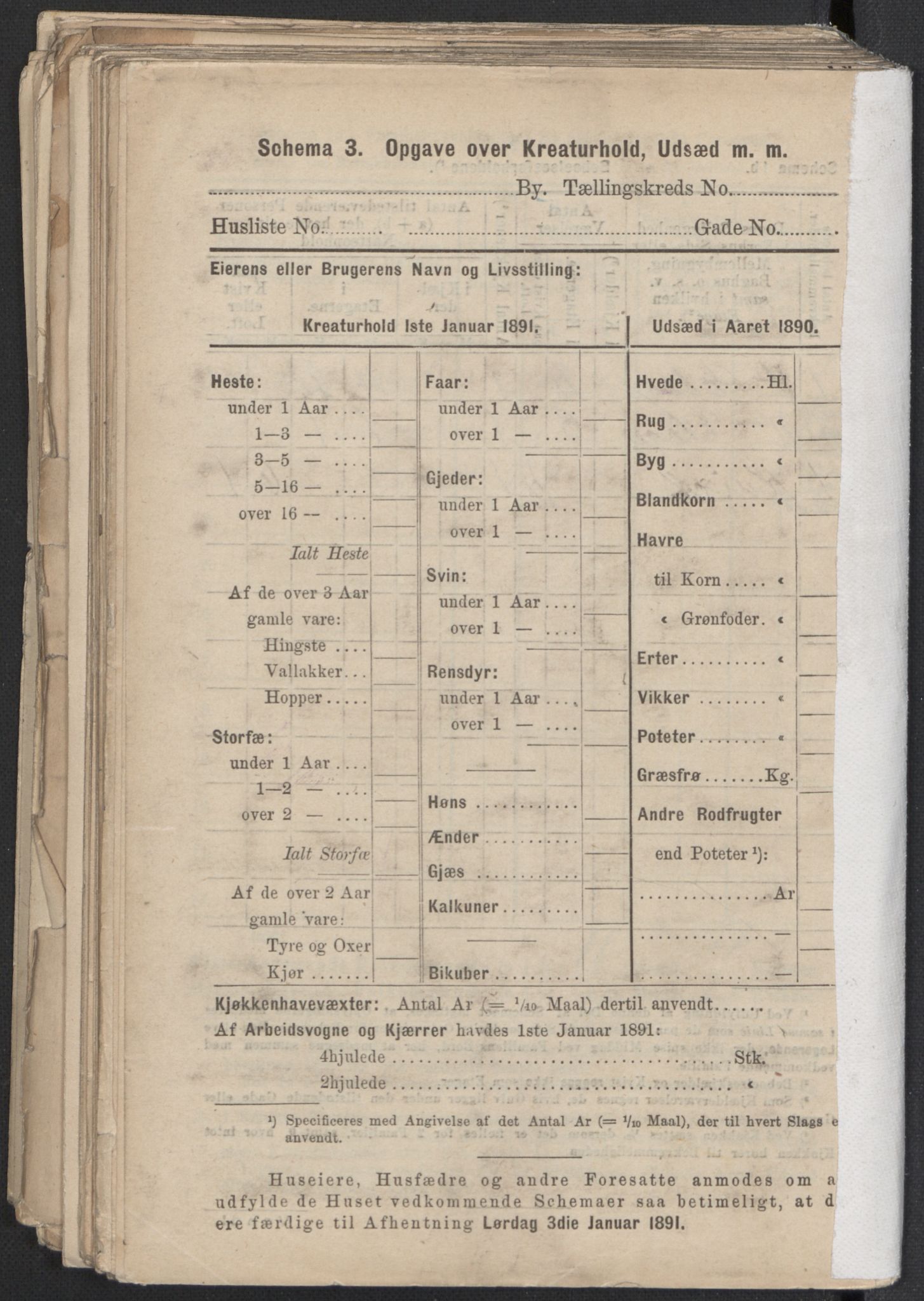 RA, 1891 Census for 1301 Bergen, 1891, p. 5781
