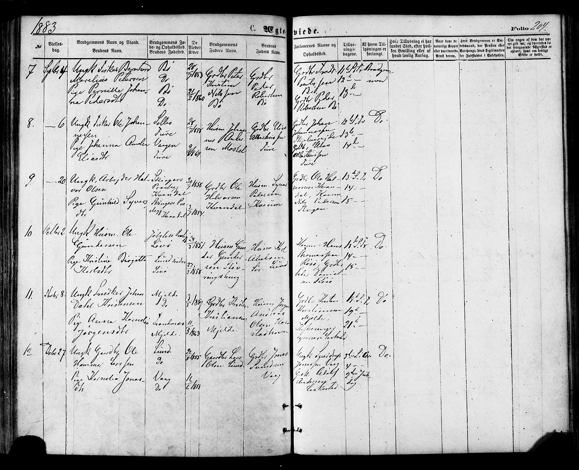 Ministerialprotokoller, klokkerbøker og fødselsregistre - Nordland, SAT/A-1459/855/L0802: Parish register (official) no. 855A10, 1875-1886, p. 204