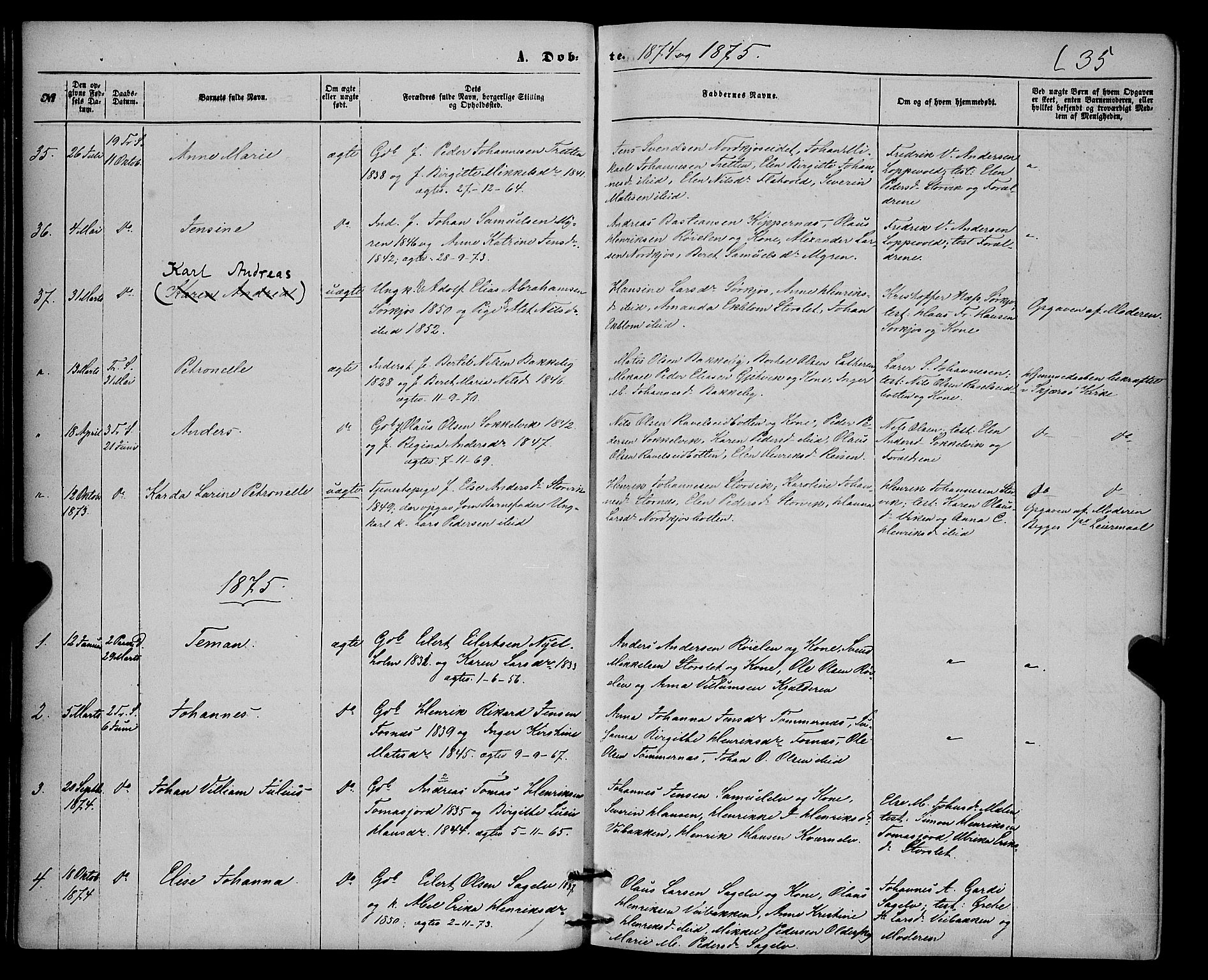 Skjervøy sokneprestkontor, SATØ/S-1300/H/Ha/Haa/L0013kirke: Parish register (official) no. 13, 1863-1877, p. 35