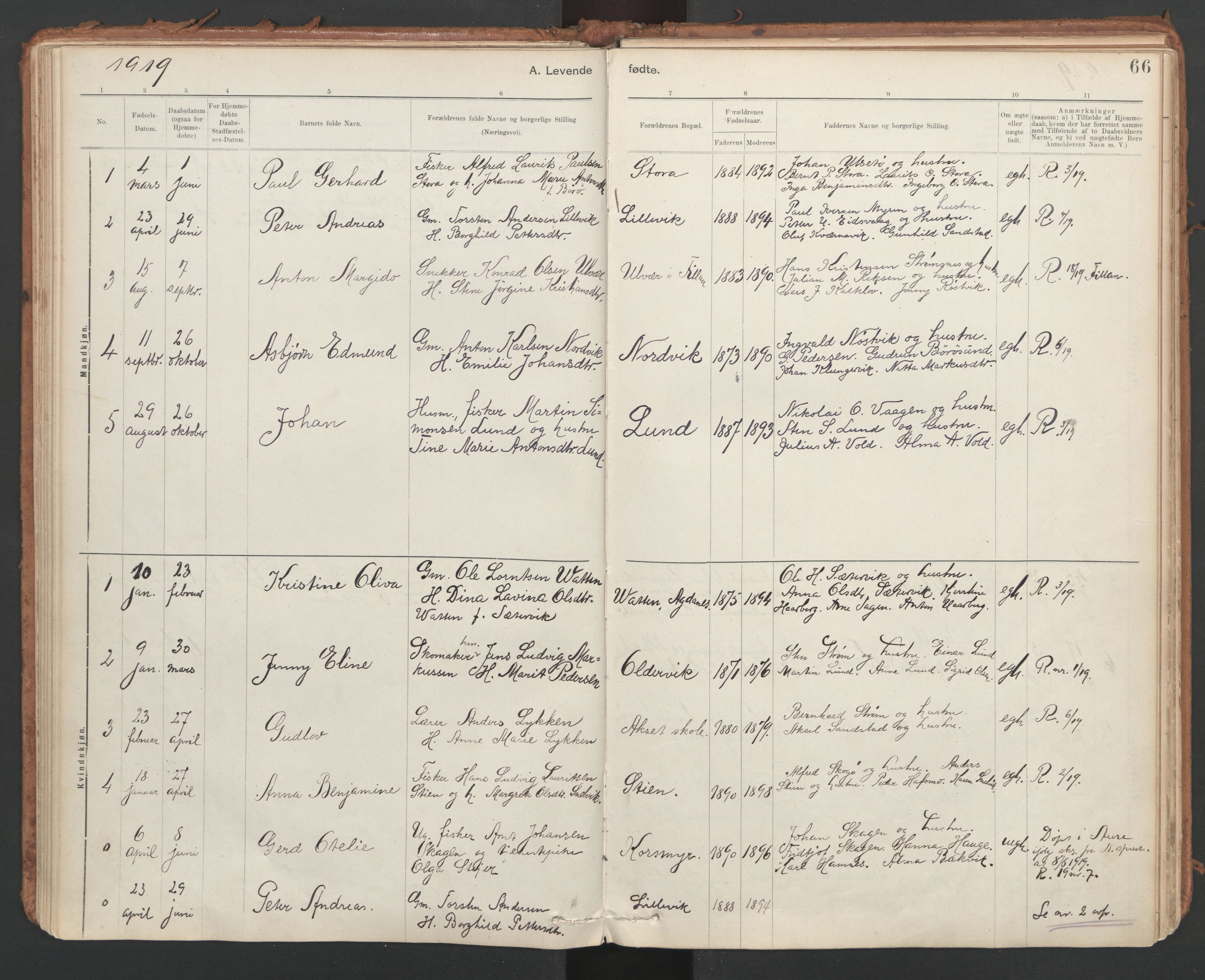 Ministerialprotokoller, klokkerbøker og fødselsregistre - Sør-Trøndelag, SAT/A-1456/639/L0572: Parish register (official) no. 639A01, 1890-1920, p. 66