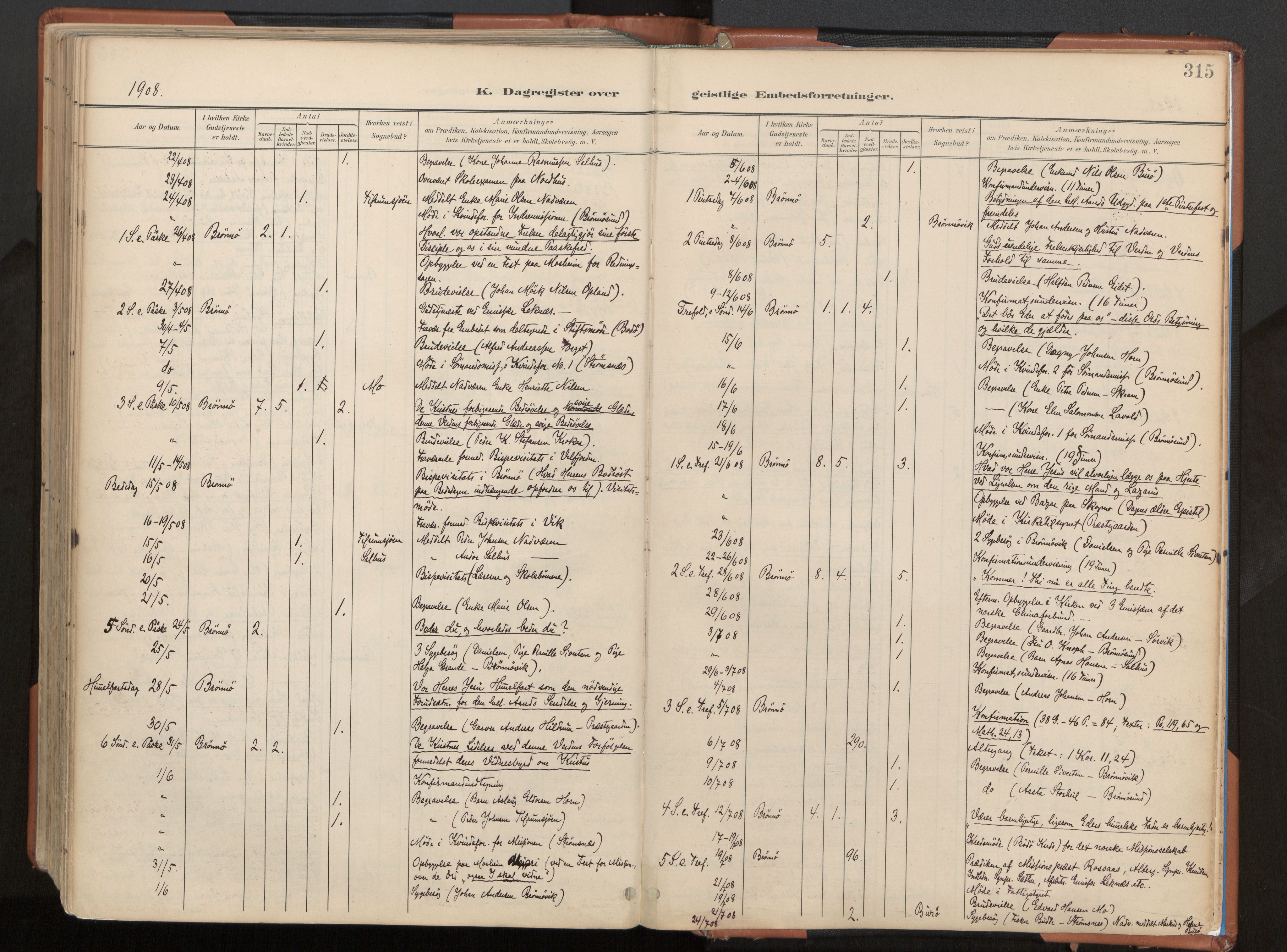 Ministerialprotokoller, klokkerbøker og fødselsregistre - Nordland, AV/SAT-A-1459/813/L0201: Parish register (official) no. 813A11, 1901-1918, p. 315