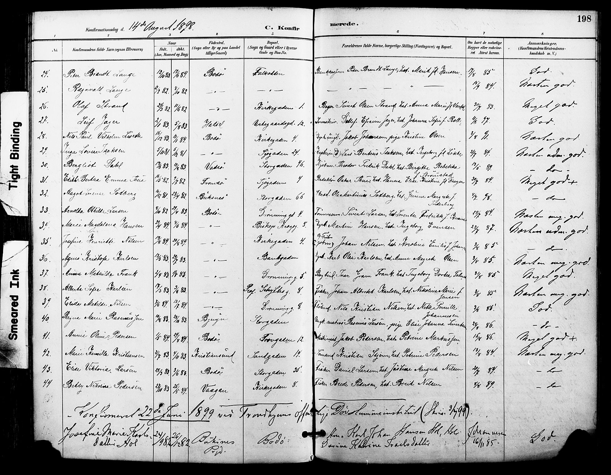 Ministerialprotokoller, klokkerbøker og fødselsregistre - Nordland, AV/SAT-A-1459/801/L0010: Parish register (official) no. 801A10, 1888-1899, p. 198