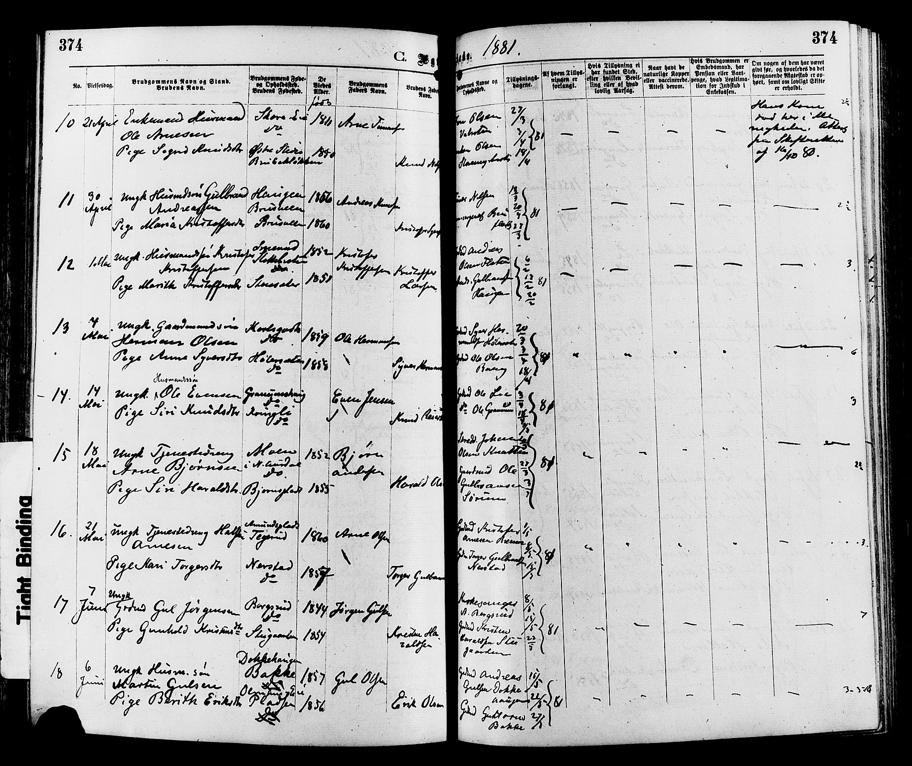 Sør-Aurdal prestekontor, AV/SAH-PREST-128/H/Ha/Haa/L0008: Parish register (official) no. 8, 1877-1885, p. 374