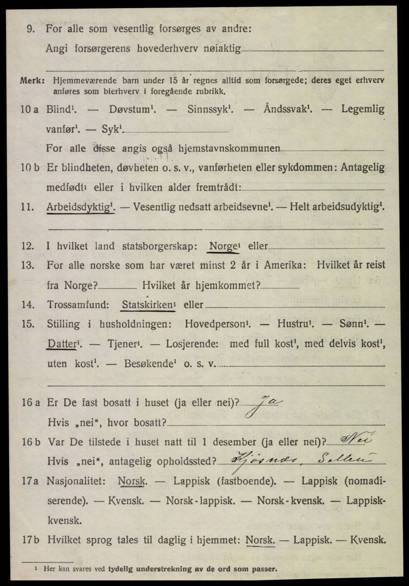 SAT, 1920 census for Selbu, 1920, p. 10201