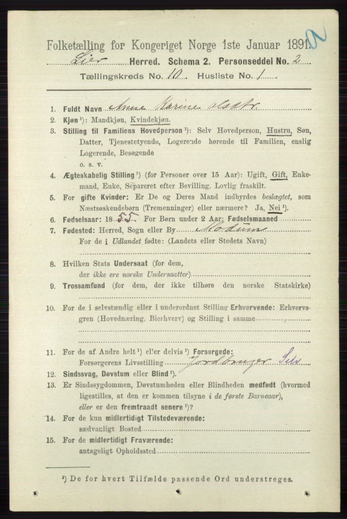 RA, 1891 census for 0626 Lier, 1891, p. 6271