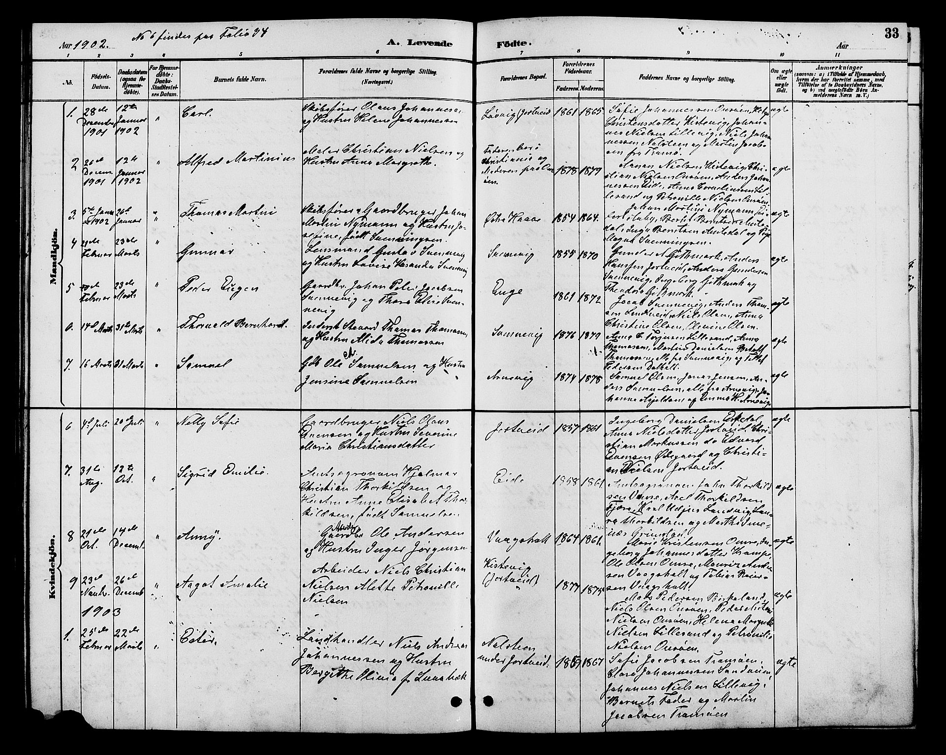 Hommedal sokneprestkontor, AV/SAK-1111-0023/F/Fb/Fba/L0004: Parish register (copy) no. B 4, 1885-1908, p. 33