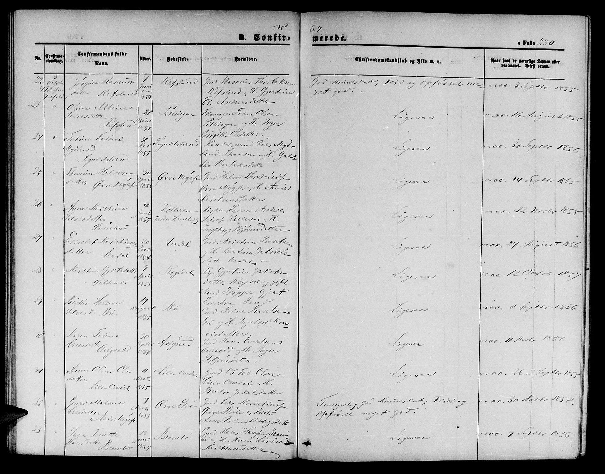 Sokndal sokneprestkontor, AV/SAST-A-101808: Parish register (copy) no. B 3, 1865-1879, p. 230