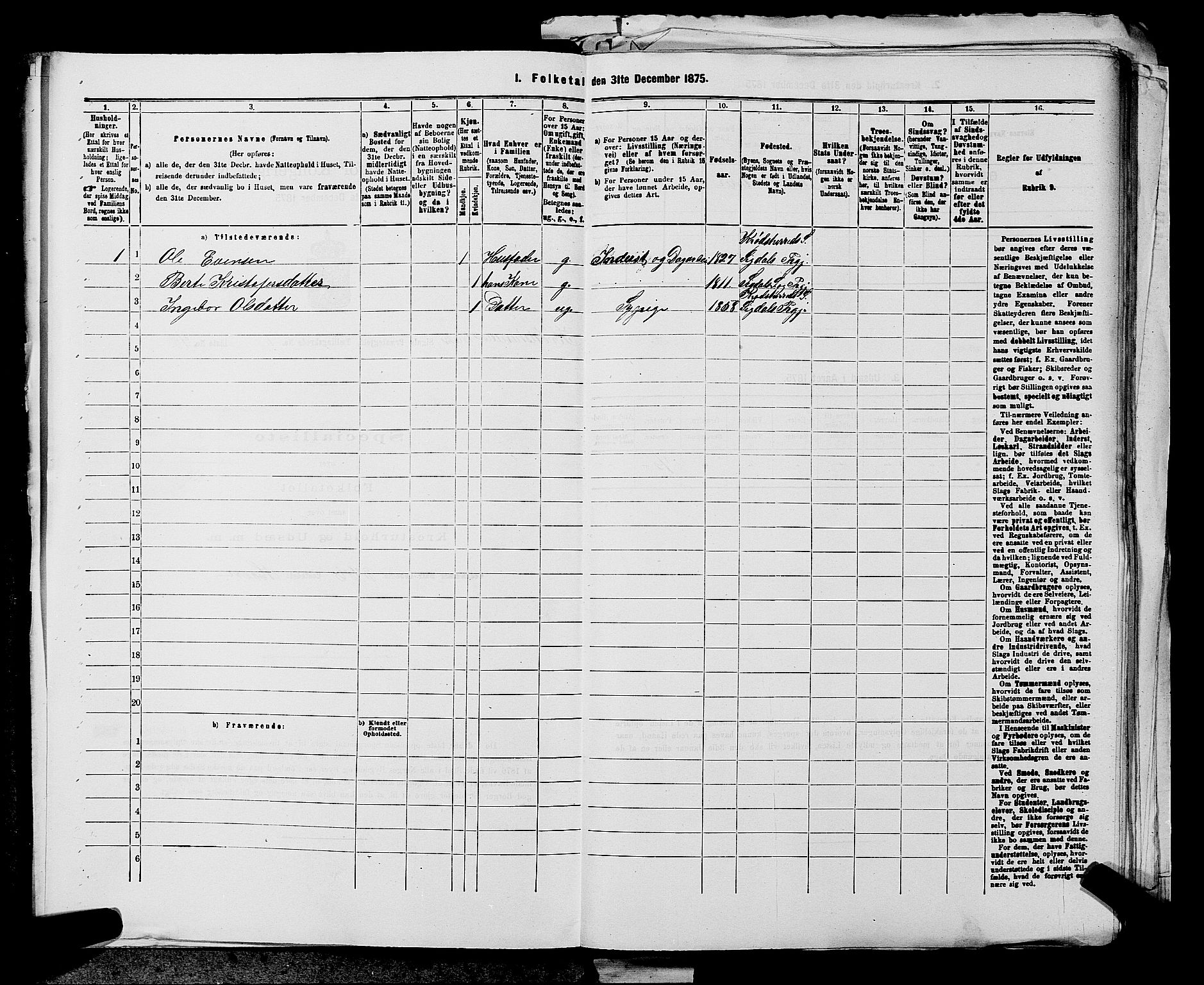 SAKO, 1875 census for 0621P Sigdal, 1875, p. 1175