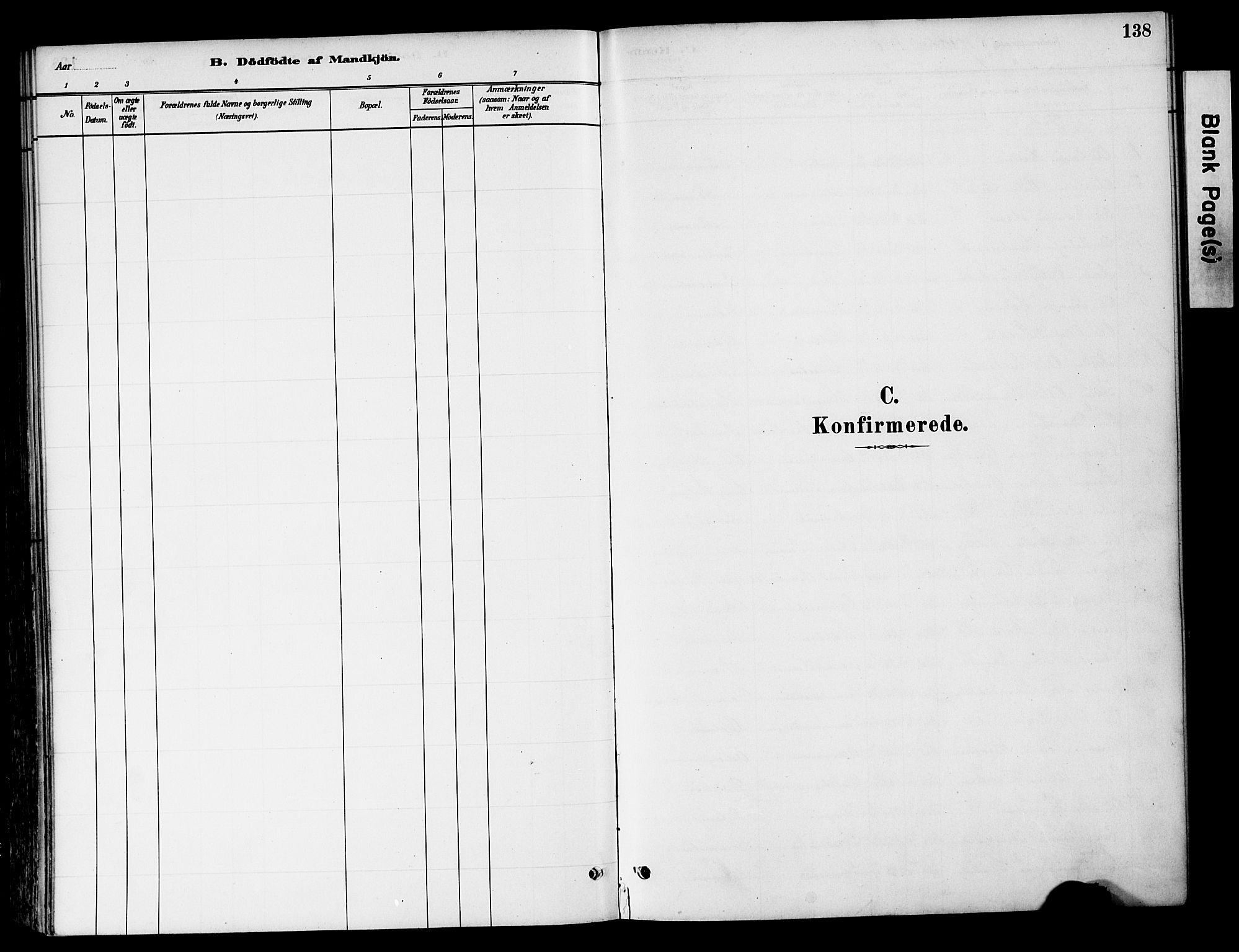 Tynset prestekontor, SAH/PREST-058/H/Ha/Haa/L0022: Parish register (official) no. 22, 1880-1899, p. 138