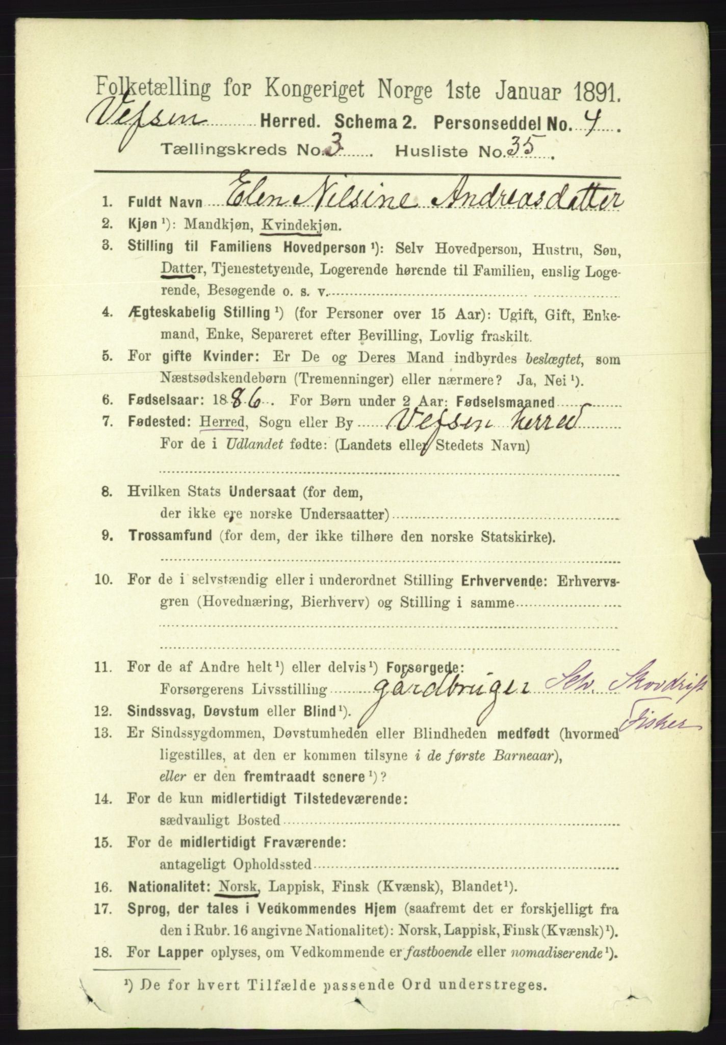 RA, 1891 census for 1824 Vefsn, 1891, p. 1519