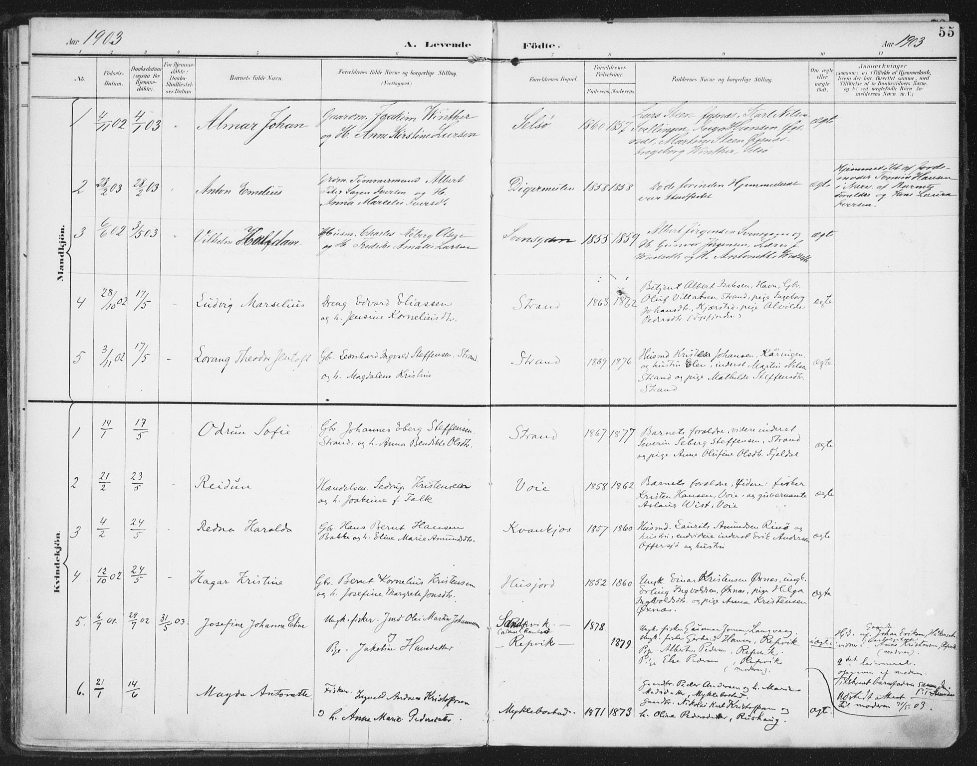 Ministerialprotokoller, klokkerbøker og fødselsregistre - Nordland, AV/SAT-A-1459/872/L1036: Parish register (official) no. 872A11, 1897-1913, p. 55