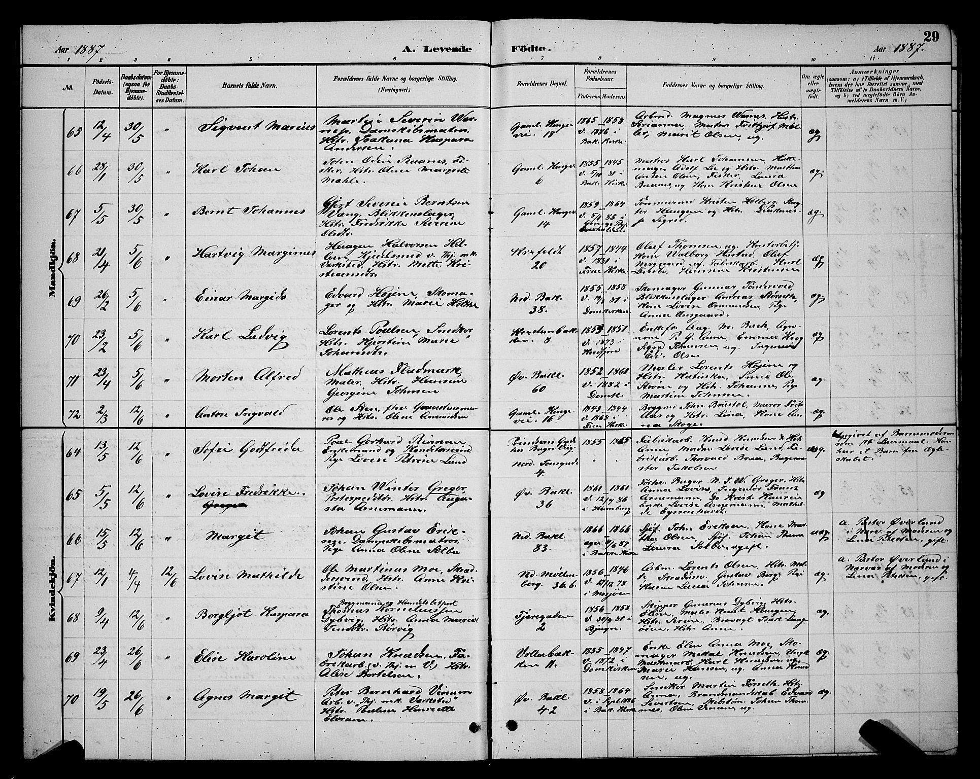 Ministerialprotokoller, klokkerbøker og fødselsregistre - Sør-Trøndelag, SAT/A-1456/604/L0222: Parish register (copy) no. 604C05, 1886-1895, p. 29