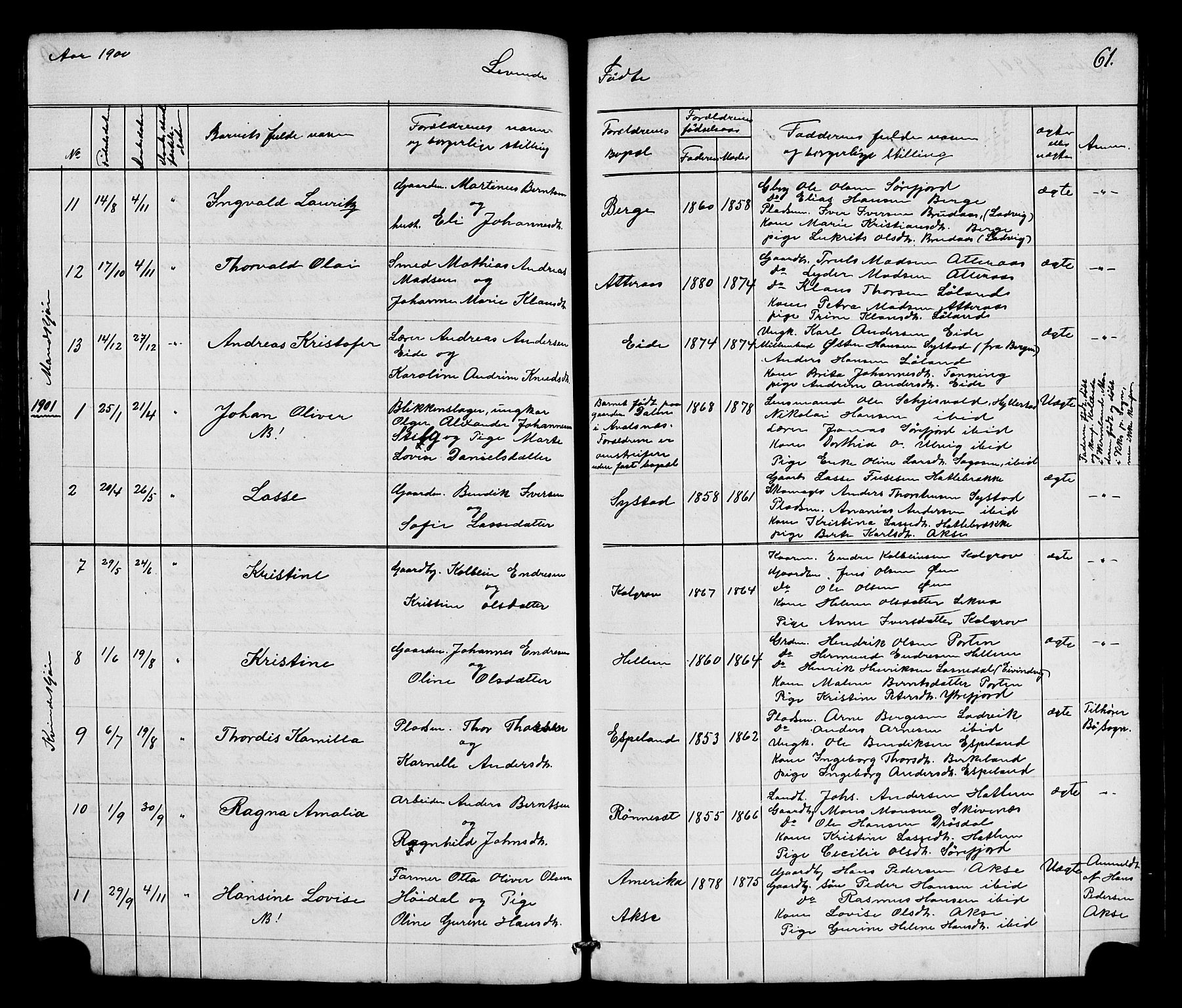 Hyllestad sokneprestembete, SAB/A-80401: Parish register (copy) no. A 2, 1876-1906, p. 61