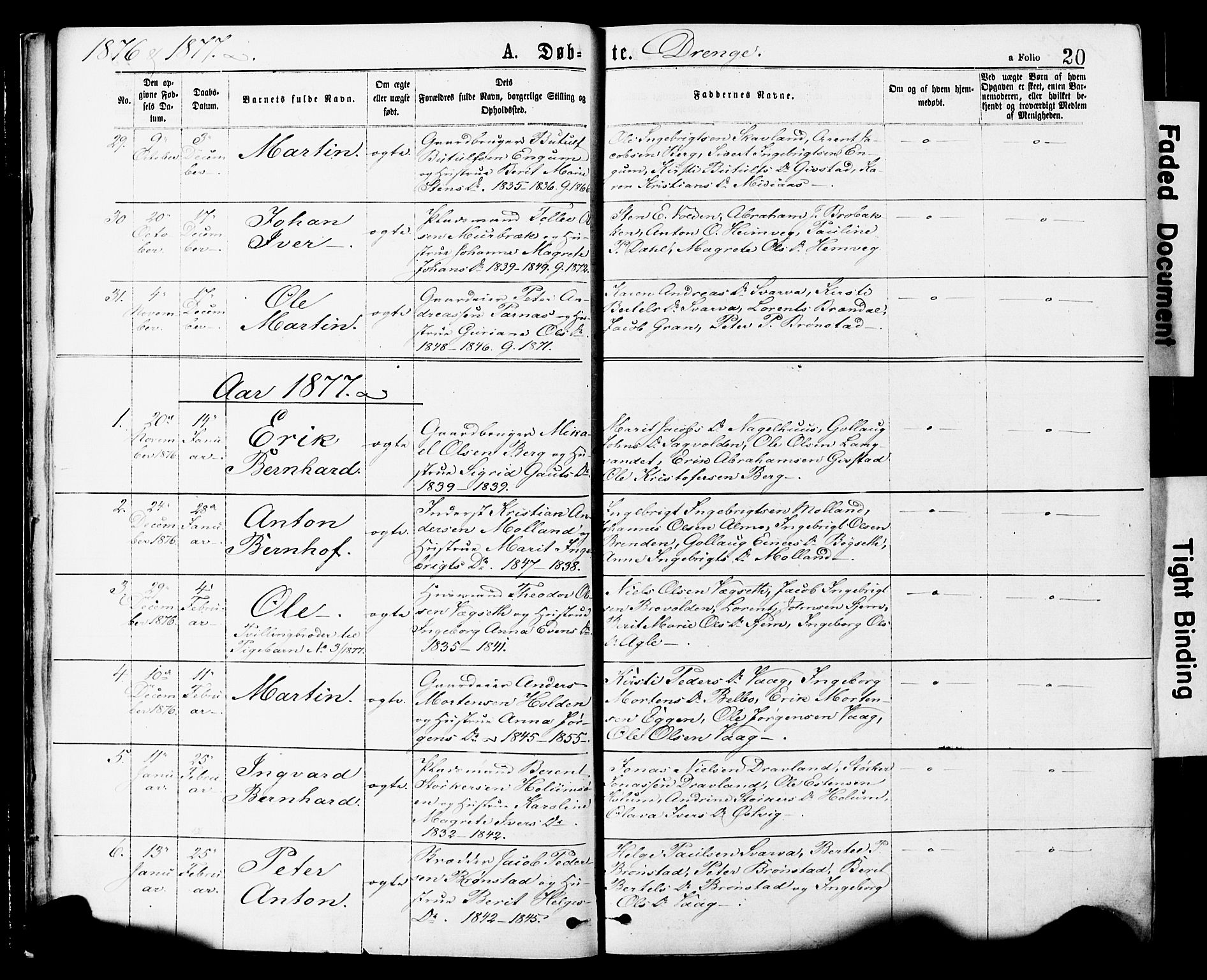 Ministerialprotokoller, klokkerbøker og fødselsregistre - Nord-Trøndelag, AV/SAT-A-1458/749/L0473: Parish register (official) no. 749A07, 1873-1887, p. 20