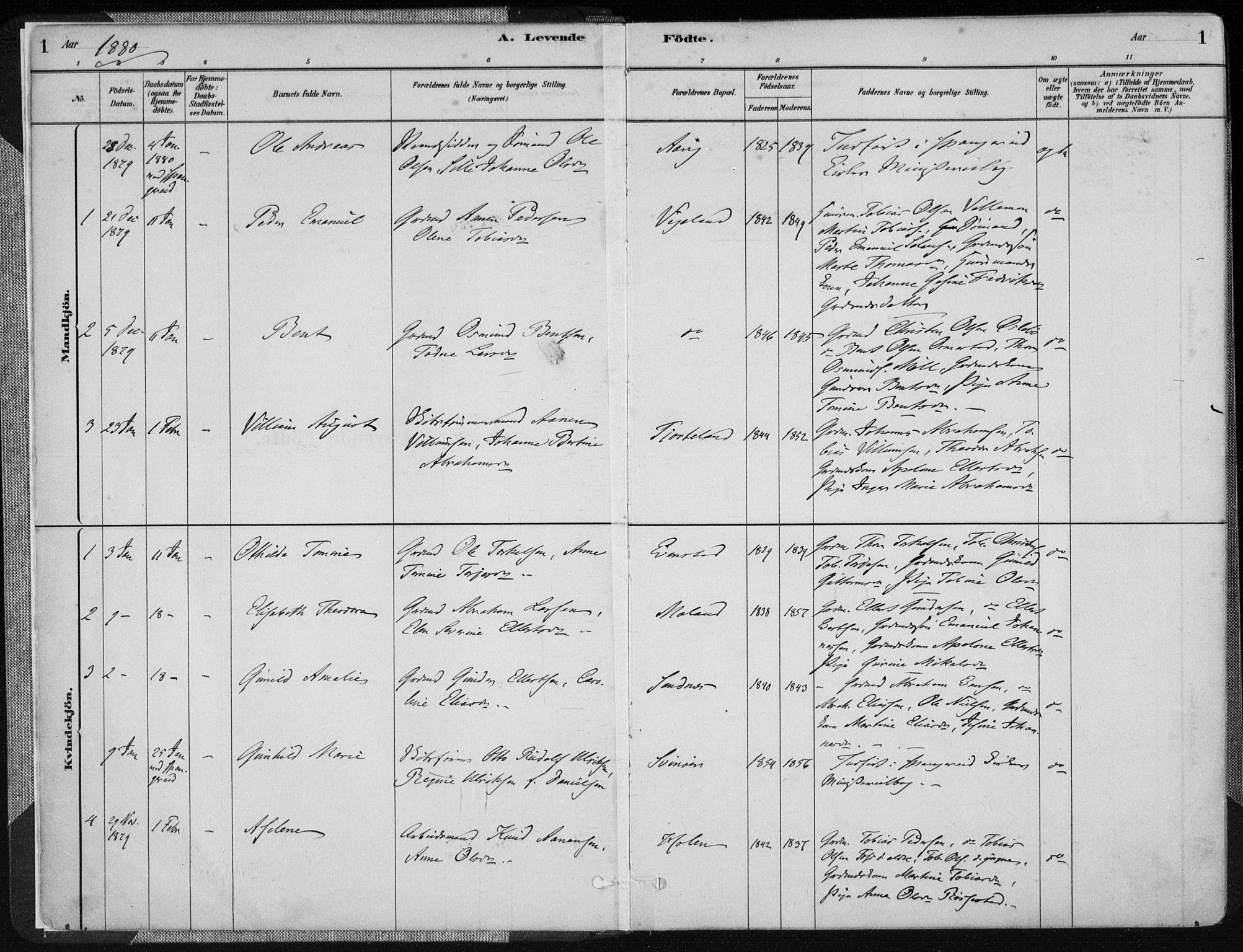 Sør-Audnedal sokneprestkontor, AV/SAK-1111-0039/F/Fa/Fab/L0009: Parish register (official) no. A 9, 1880-1895, p. 1