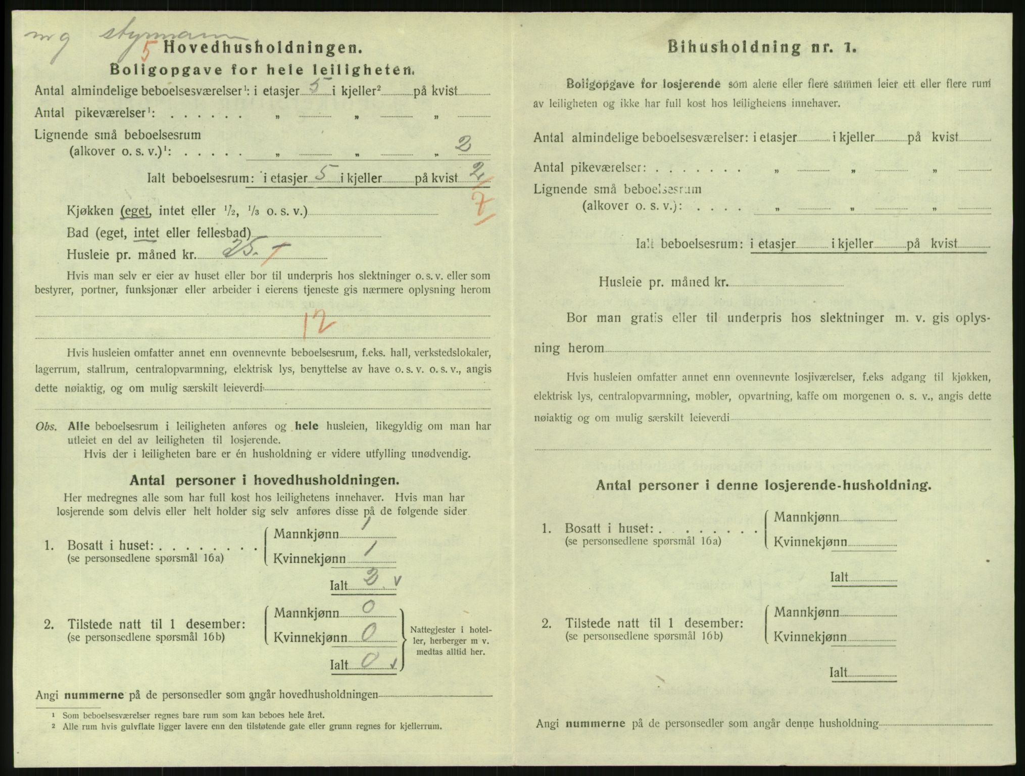 SAKO, 1920 census for Svelvik, 1920, p. 1008