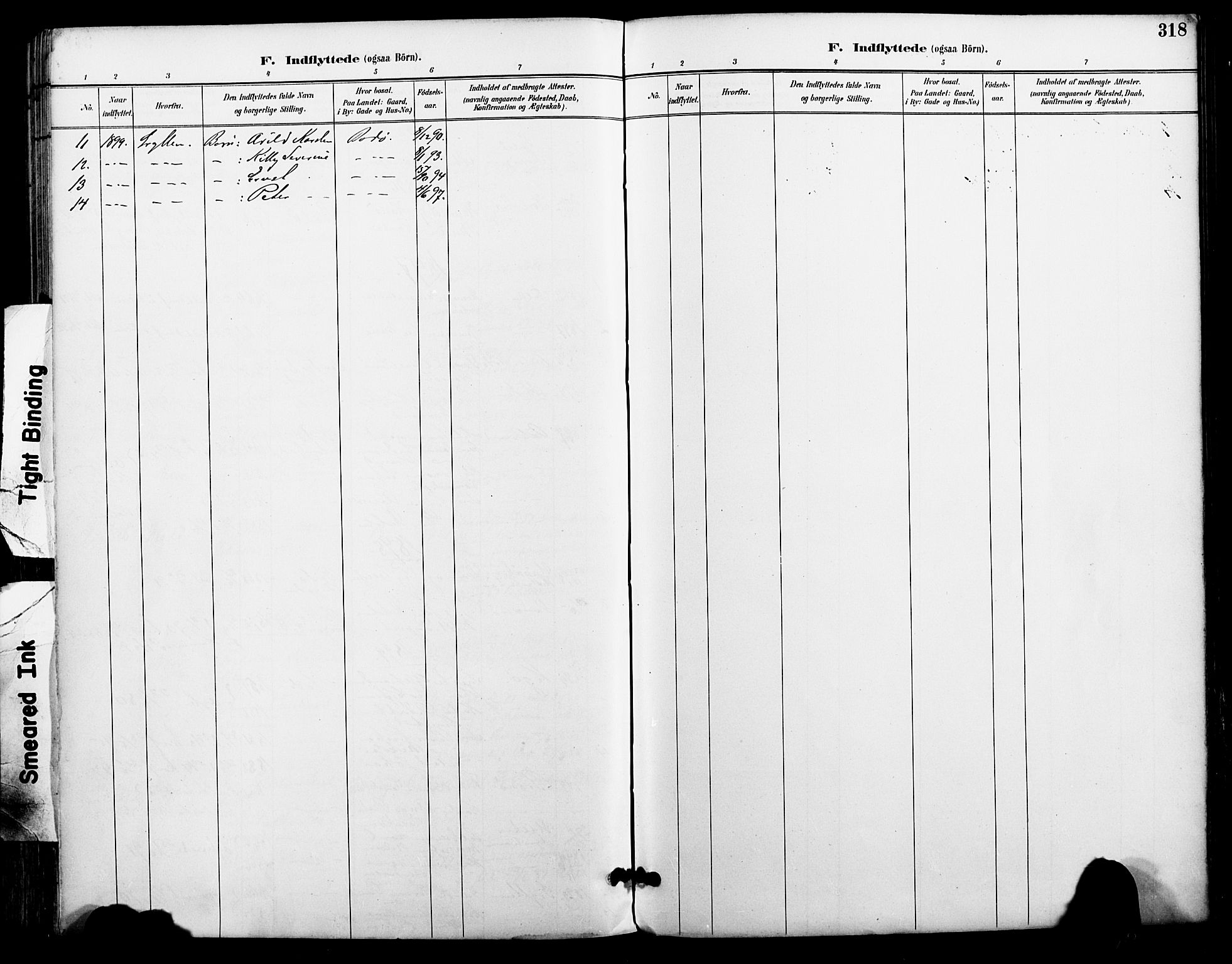 Ministerialprotokoller, klokkerbøker og fødselsregistre - Nordland, AV/SAT-A-1459/801/L0010: Parish register (official) no. 801A10, 1888-1899, p. 318