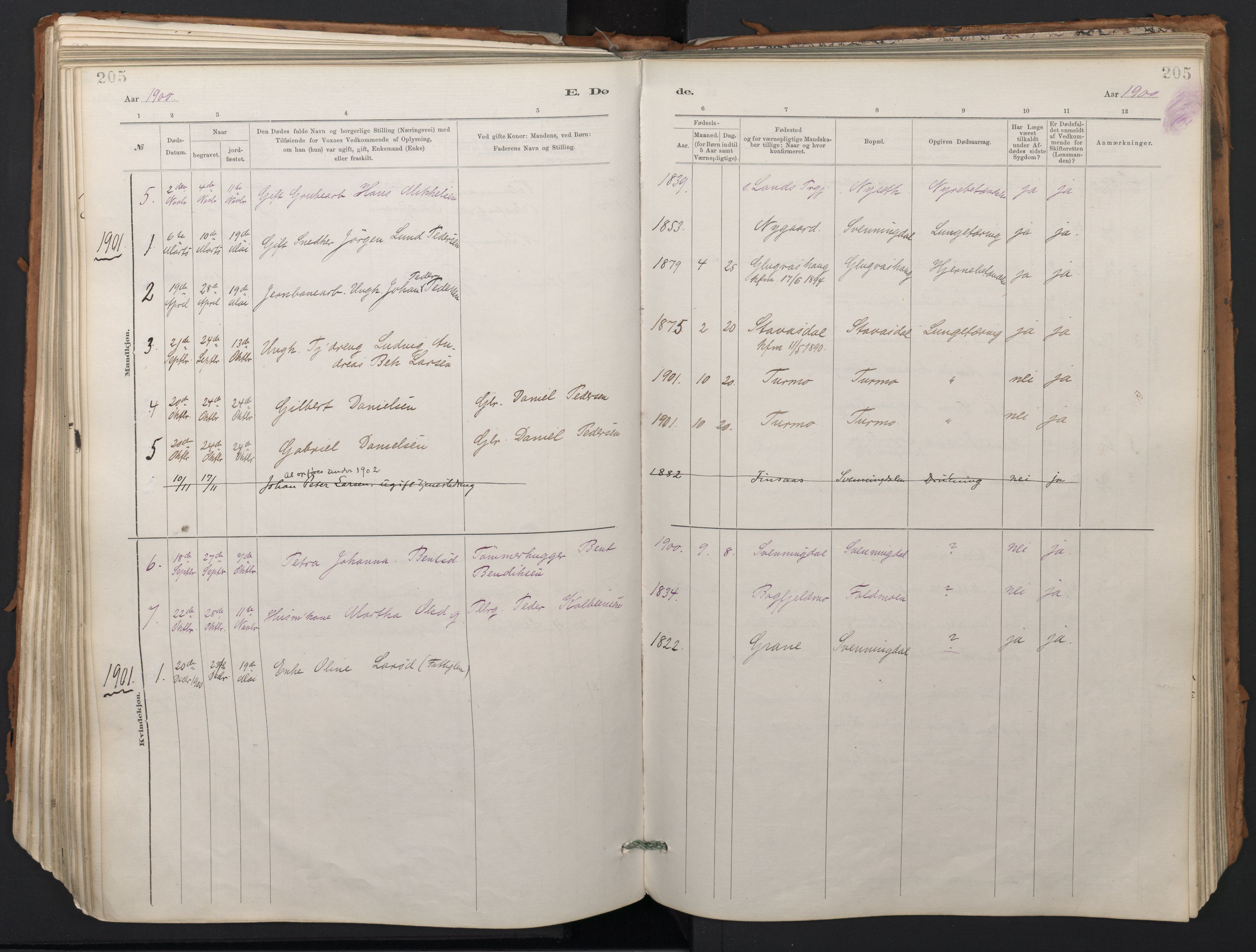 Ministerialprotokoller, klokkerbøker og fødselsregistre - Nordland, SAT/A-1459/824/L0338: Parish register (official) no. 824A01, 1880-1915, p. 205