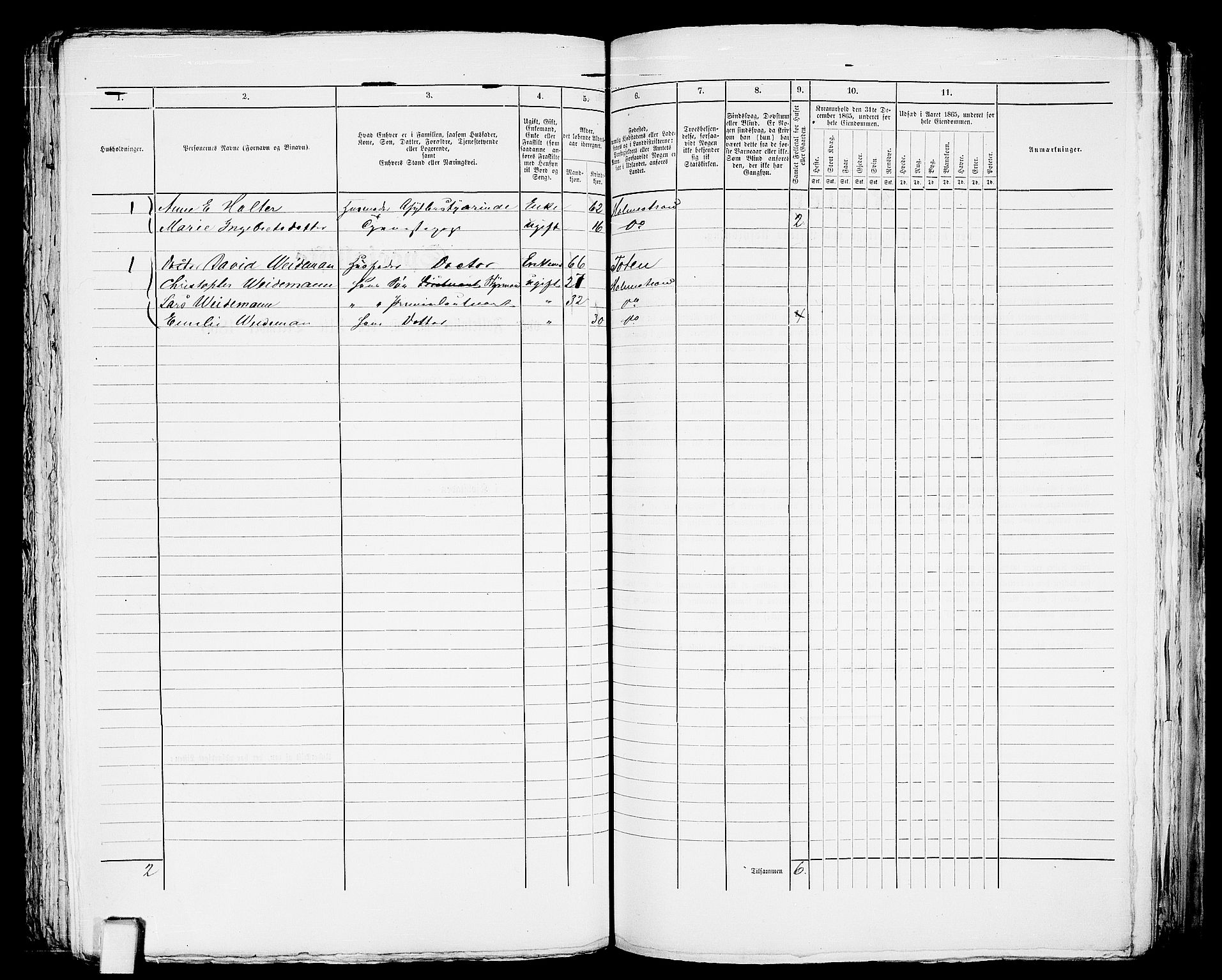 RA, 1865 census for Botne/Holmestrand, 1865, p. 272