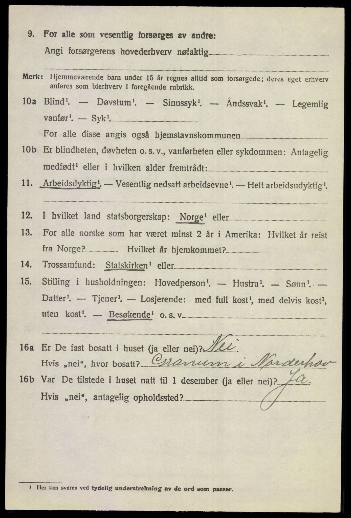 SAKO, 1920 census for Norderhov, 1920, p. 7040