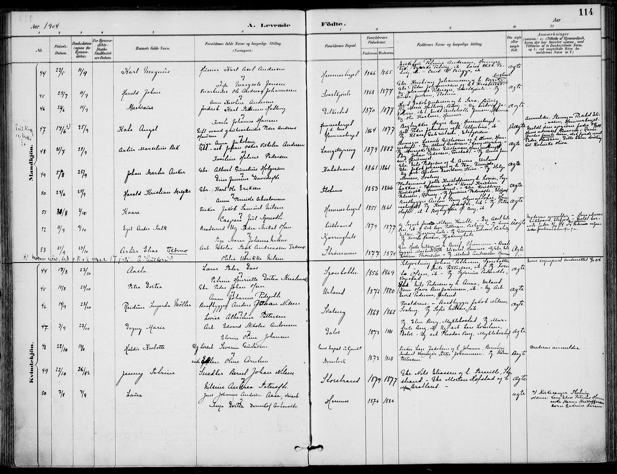 Ministerialprotokoller, klokkerbøker og fødselsregistre - Nordland, AV/SAT-A-1459/825/L0362: Parish register (official) no. 825A16, 1886-1908, p. 114