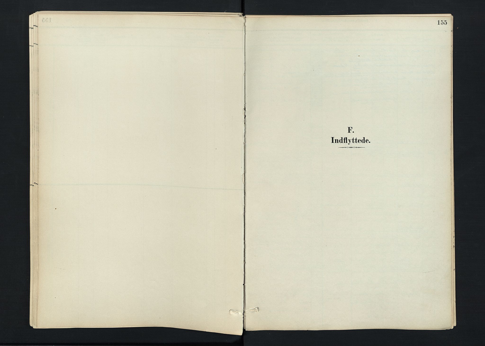 Stokke kirkebøker, SAKO/A-320/F/Fc/L0001: Parish register (official) no. III 1, 1884-1910, p. 155