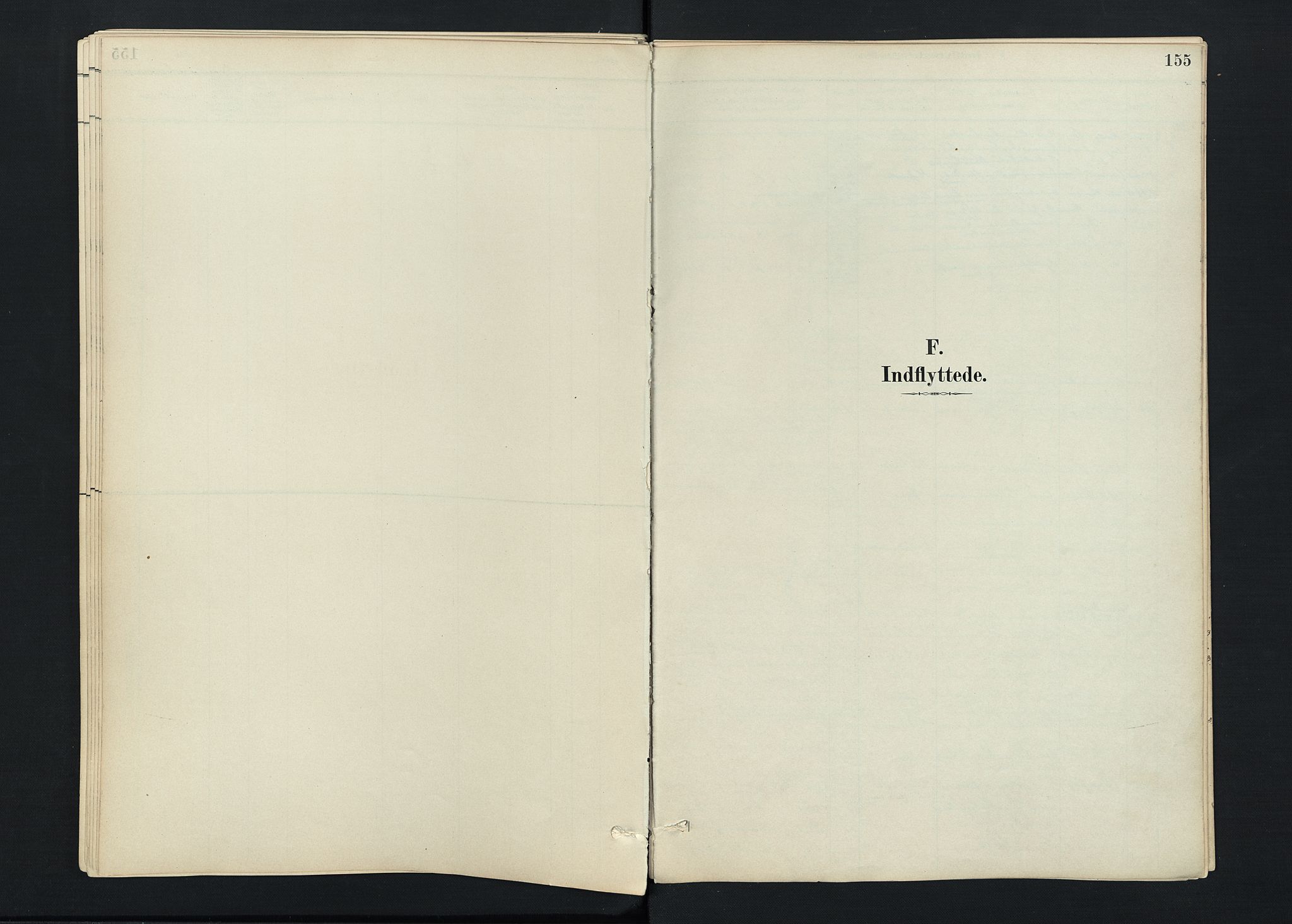 Stokke kirkebøker, AV/SAKO-A-320/F/Fc/L0001: Parish register (official) no. III 1, 1884-1910, p. 155