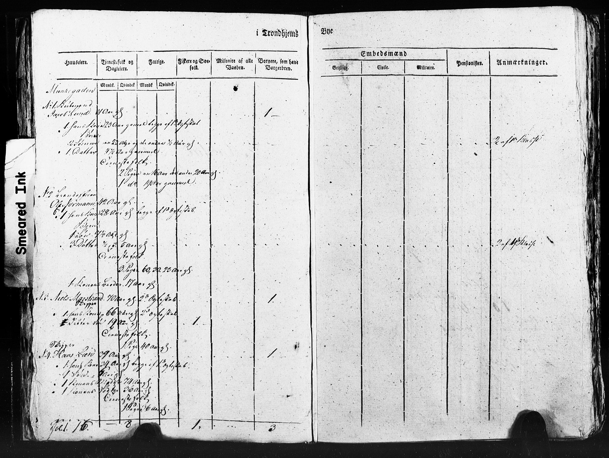 SAT, Census 1815 for Trondheim (transcript), 1815, p. 245