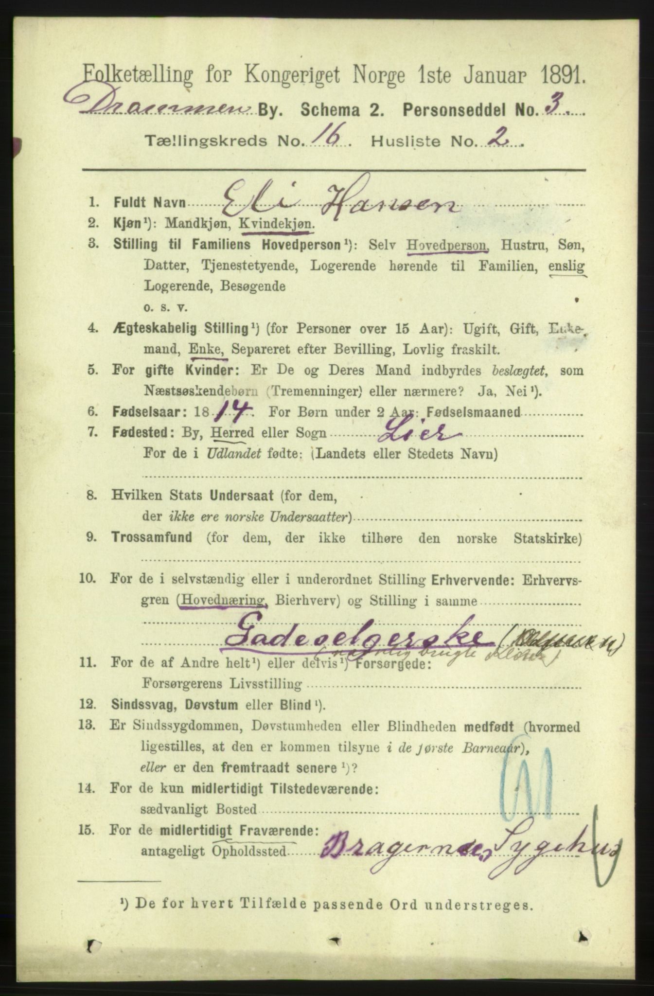 RA, 1891 census for 0602 Drammen, 1891, p. 10966