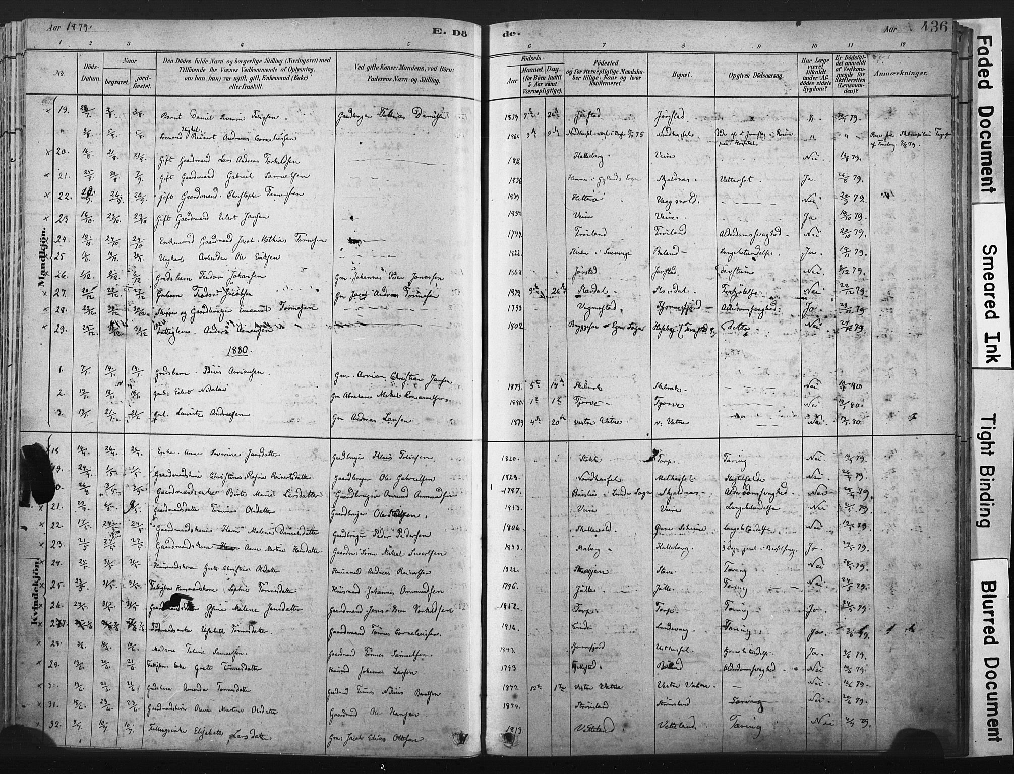 Lista sokneprestkontor, AV/SAK-1111-0027/F/Fa/L0012: Parish register (official) no. A 12, 1879-1903, p. 436