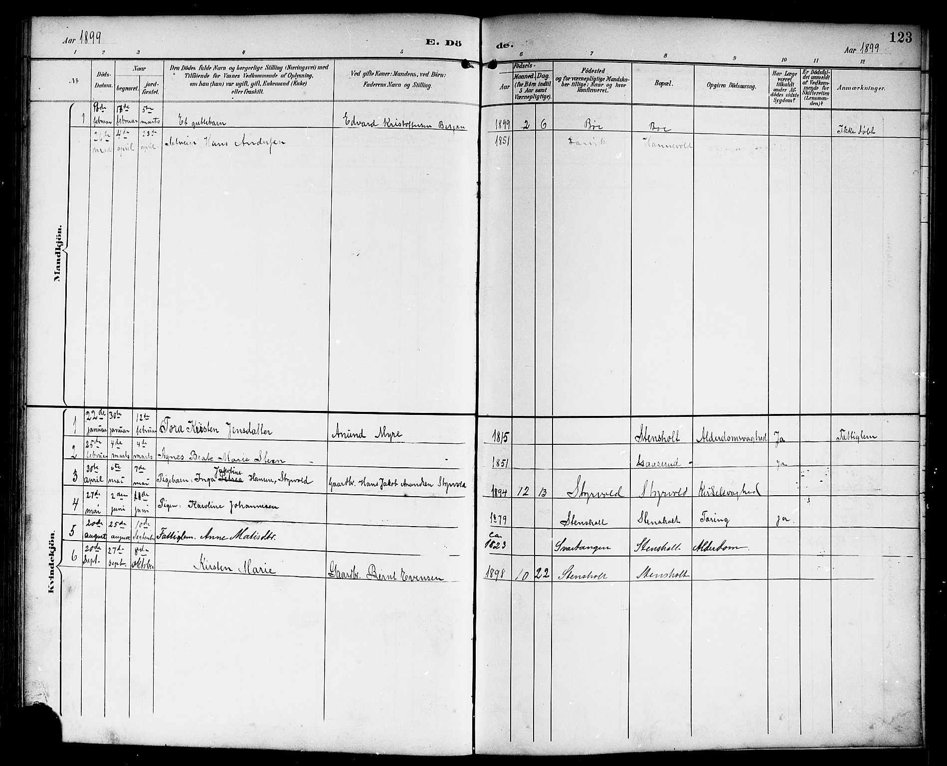 Lardal kirkebøker, AV/SAKO-A-350/G/Gc/L0002: Parish register (copy) no. III 2, 1894-1918, p. 123